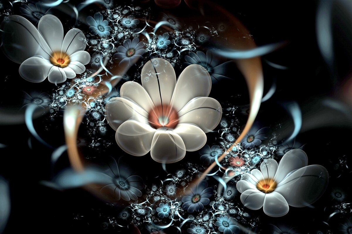 Fototapeta veľké kvety sú biele