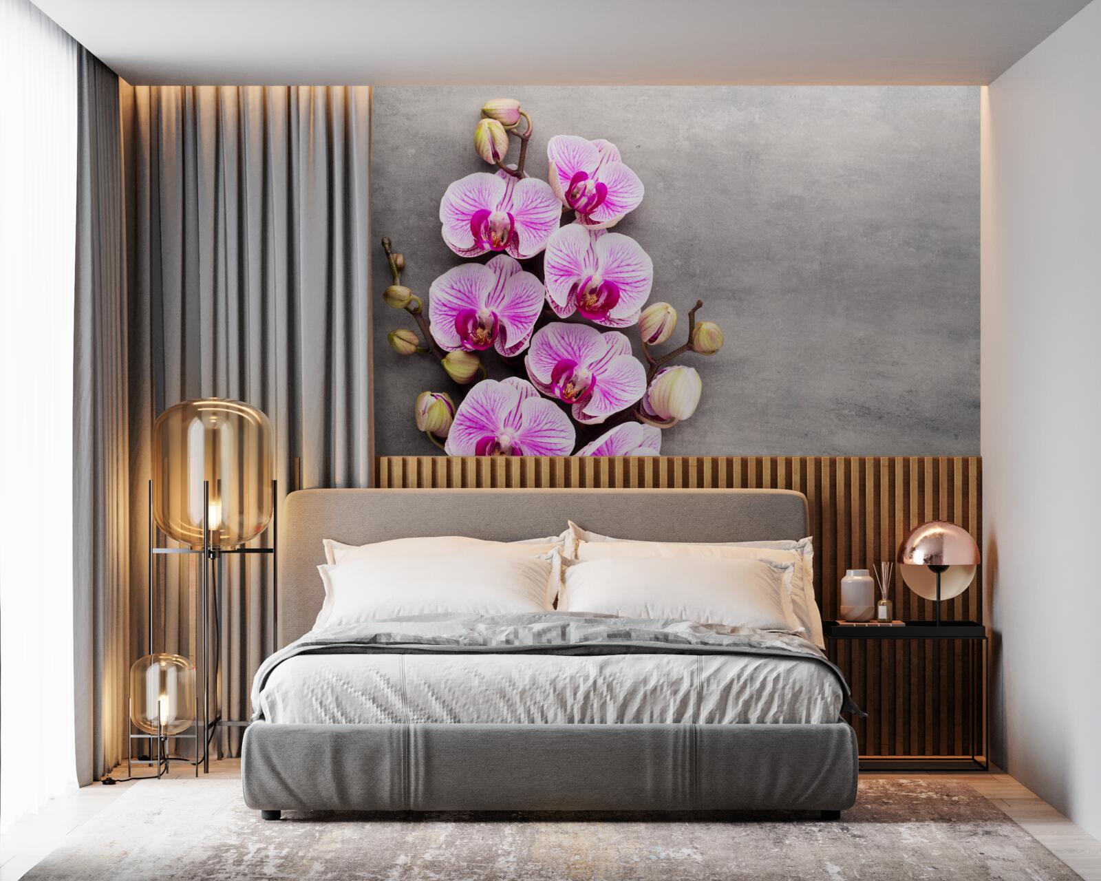 Fototapeta lila a biela orchidea