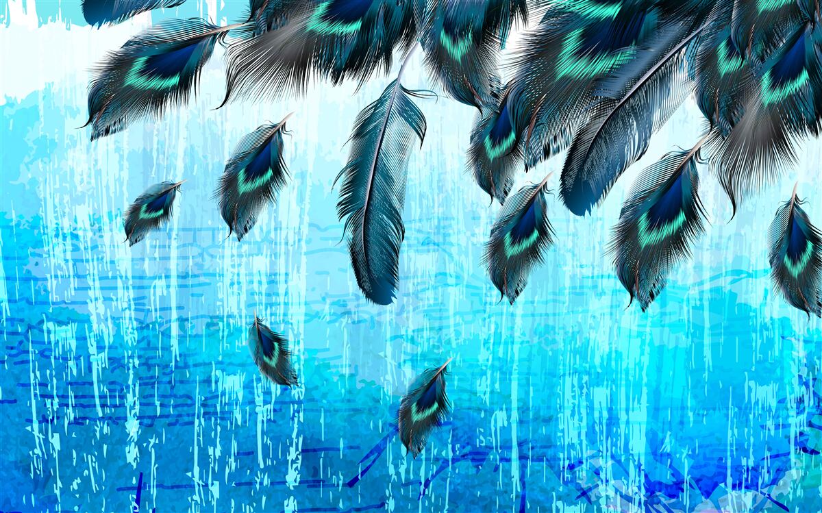 Fototapeta pávie perá na modrom pozadí