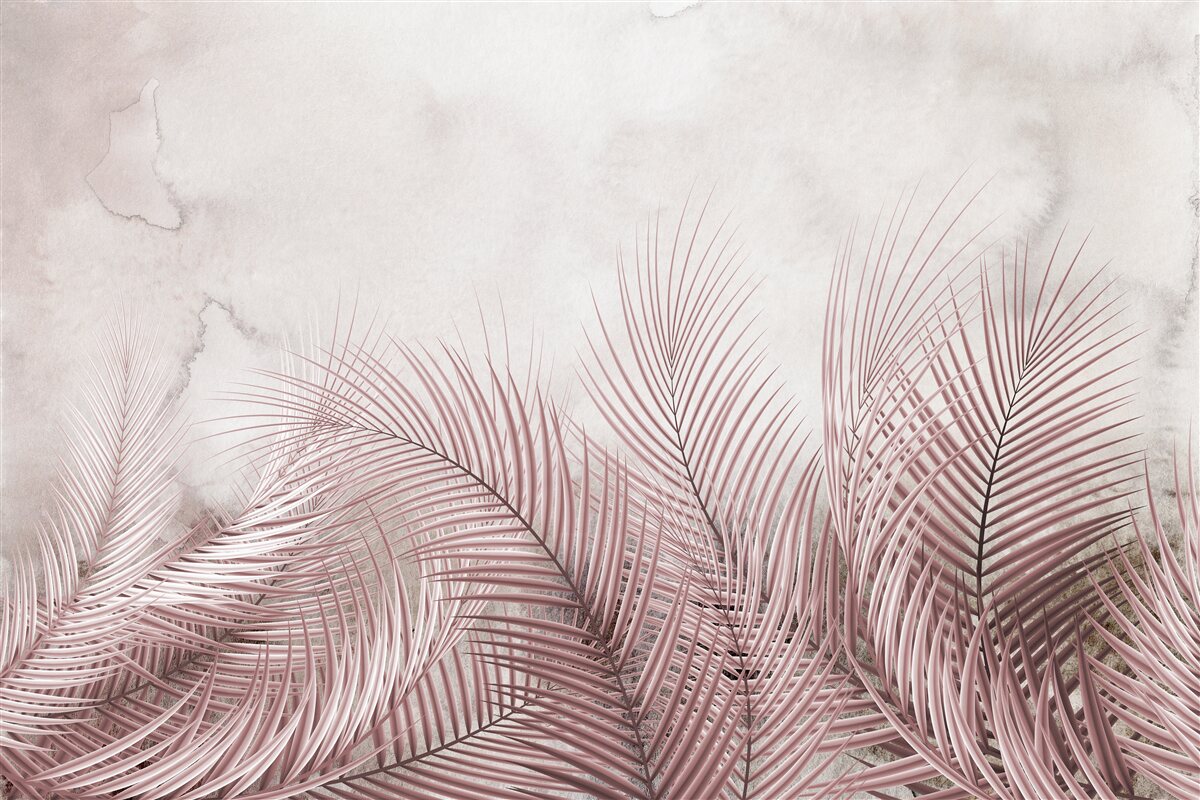 Fototapeta tropické listy v hmlistej hmle