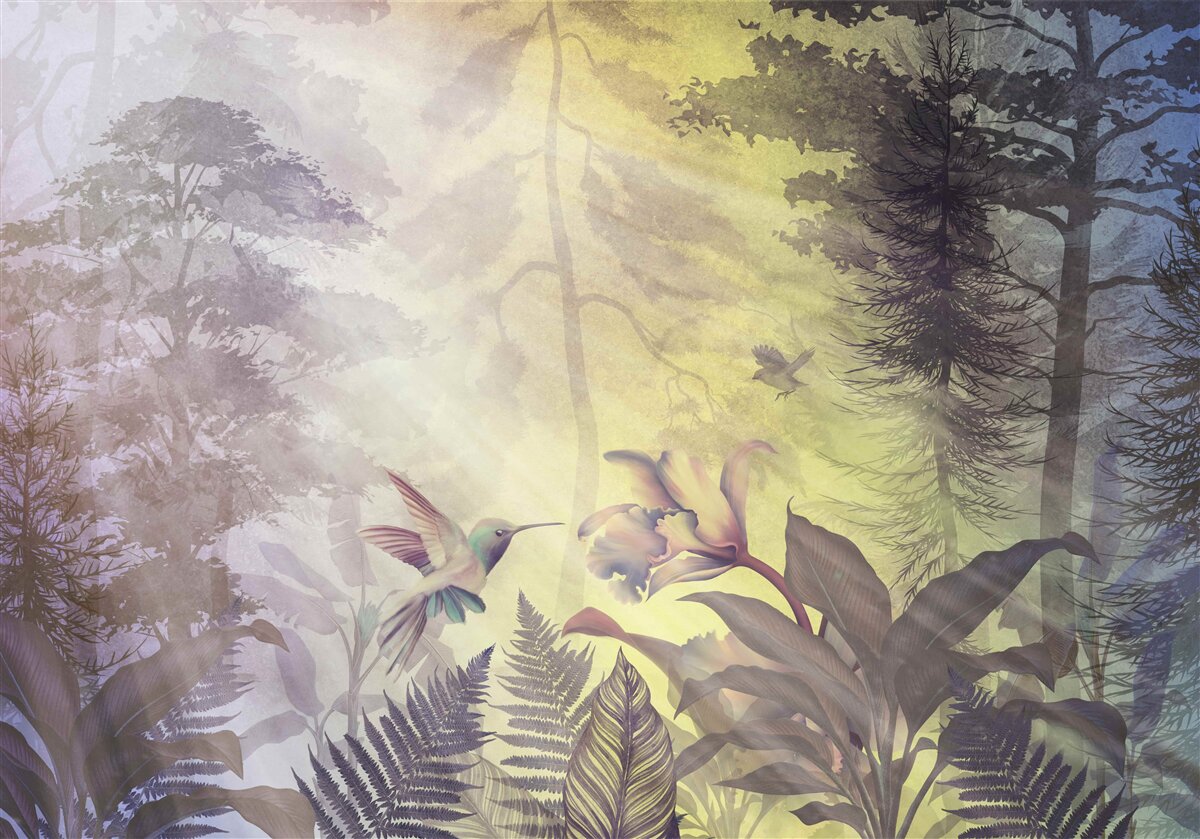 Fototapeta les listnatých stromov pod lúčmi slnka