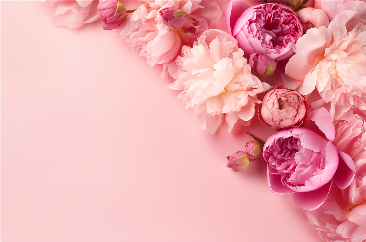 Fototapeta rôzne ružové kvety na pozadí rovnakého odtieňa