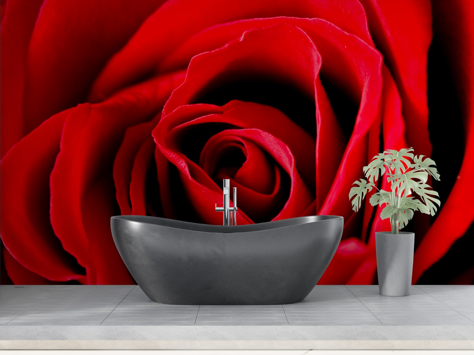 Fototapeta nádherná šarlátová ruža