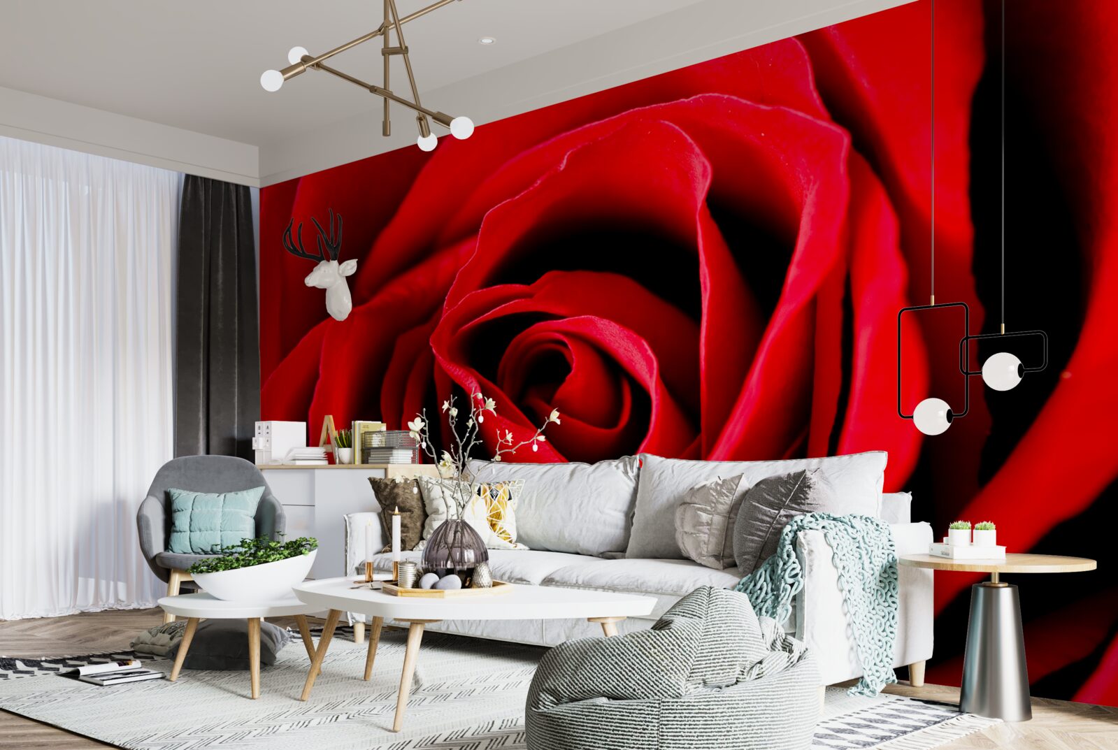 Fototapeta nádherná šarlátová ruža