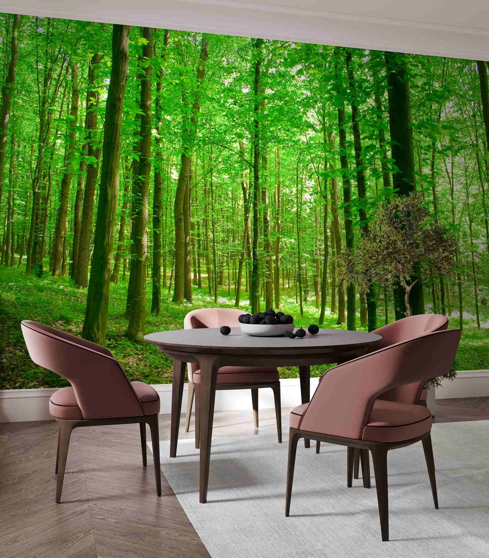 Fototapeta tenký letný les s listnatými stromami