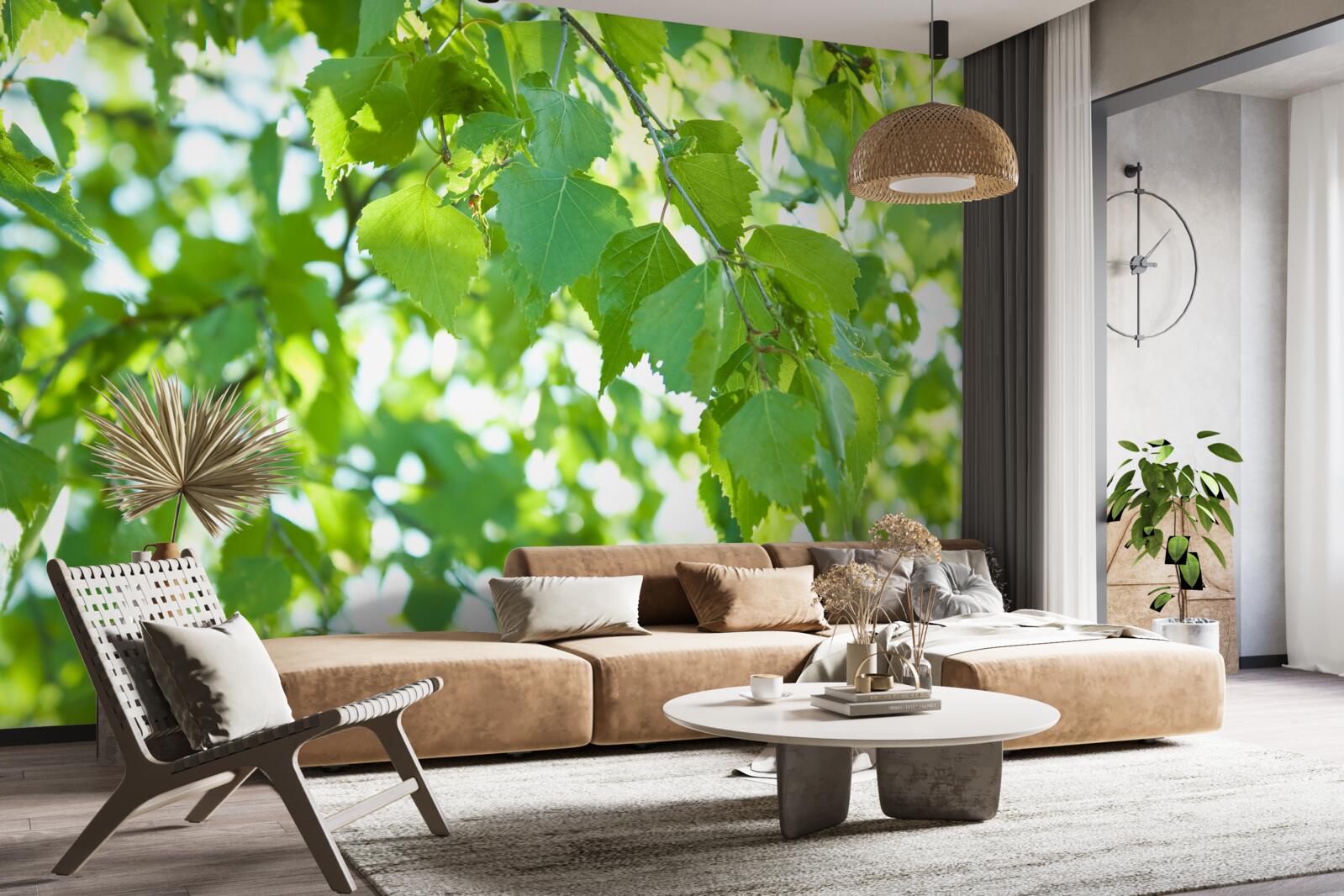 Fototapeta brezové lístie proti modrej oblohe