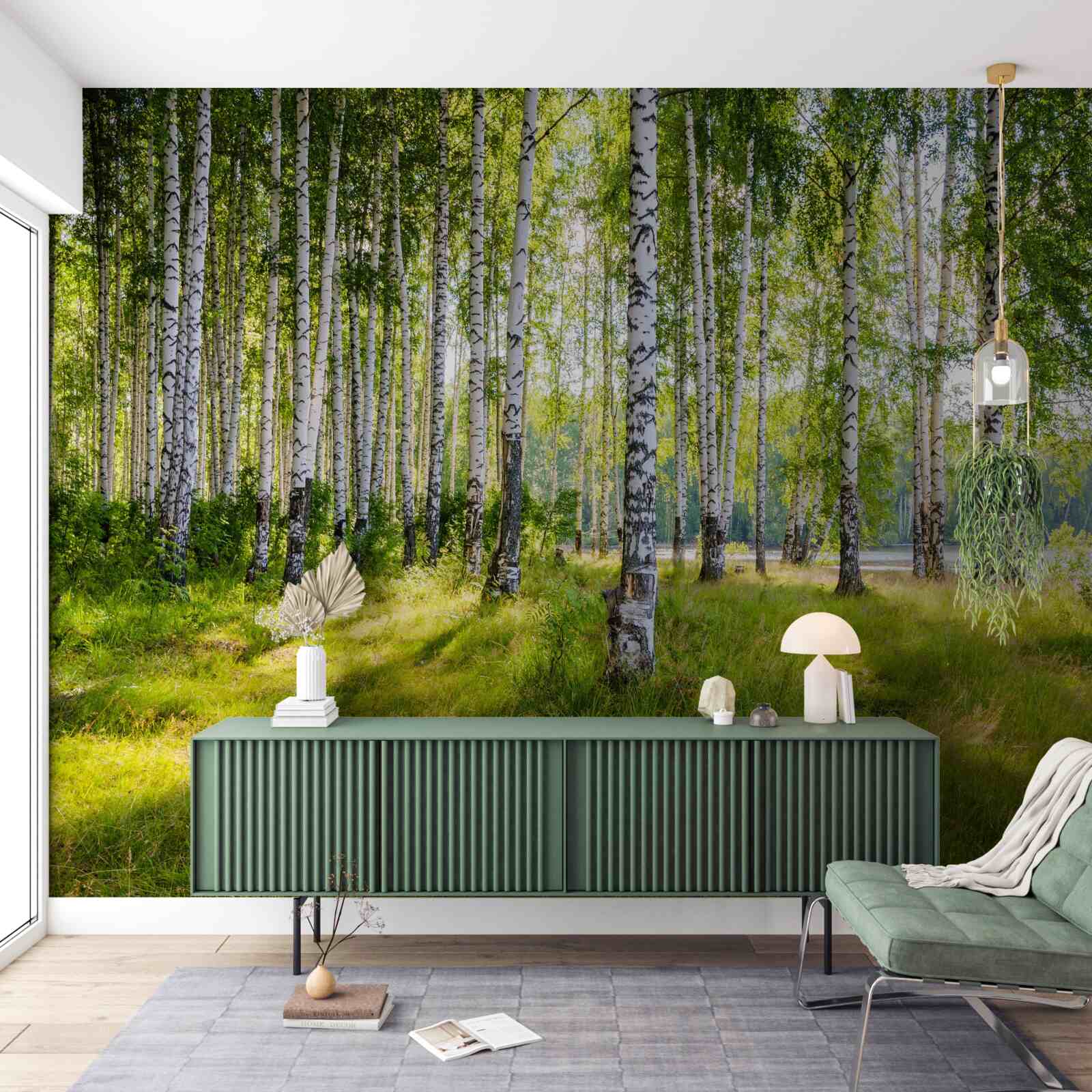 Fototapeta Svitanie v zelenej brezovej húštine