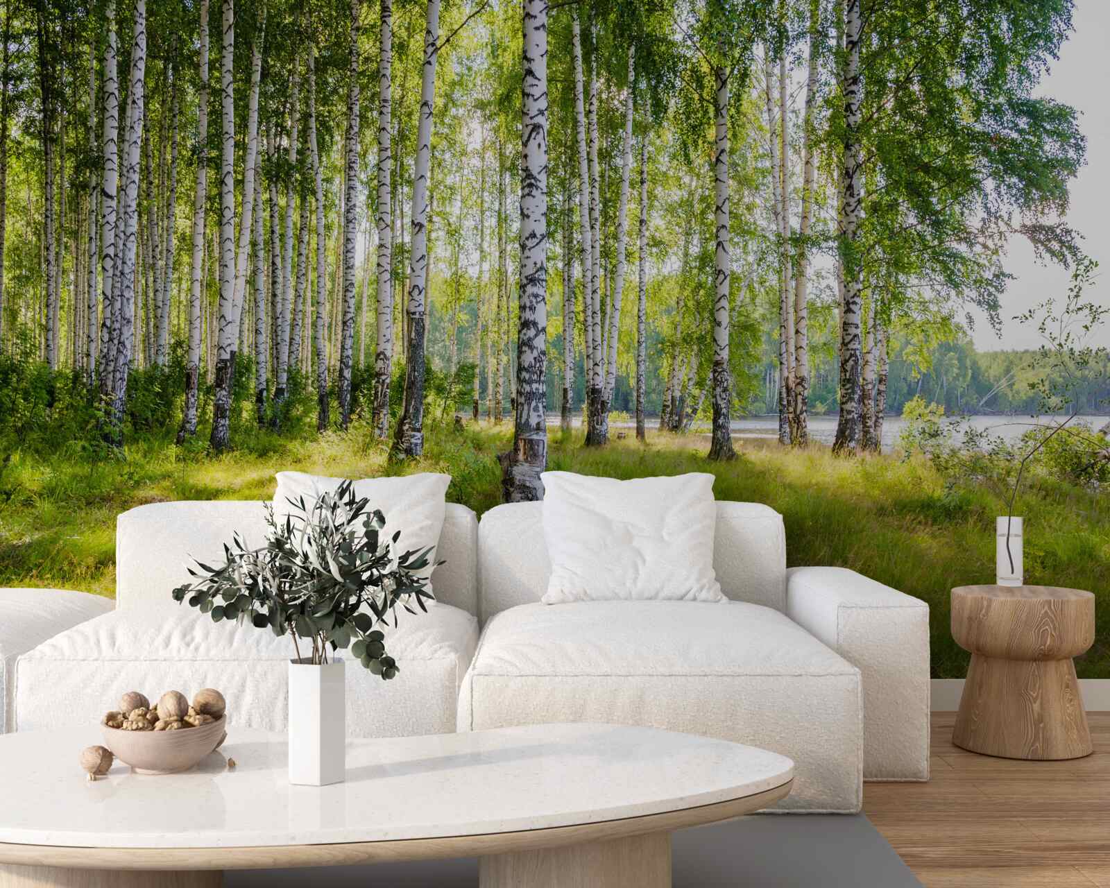 Fototapeta Svitanie v zelenej brezovej húštine