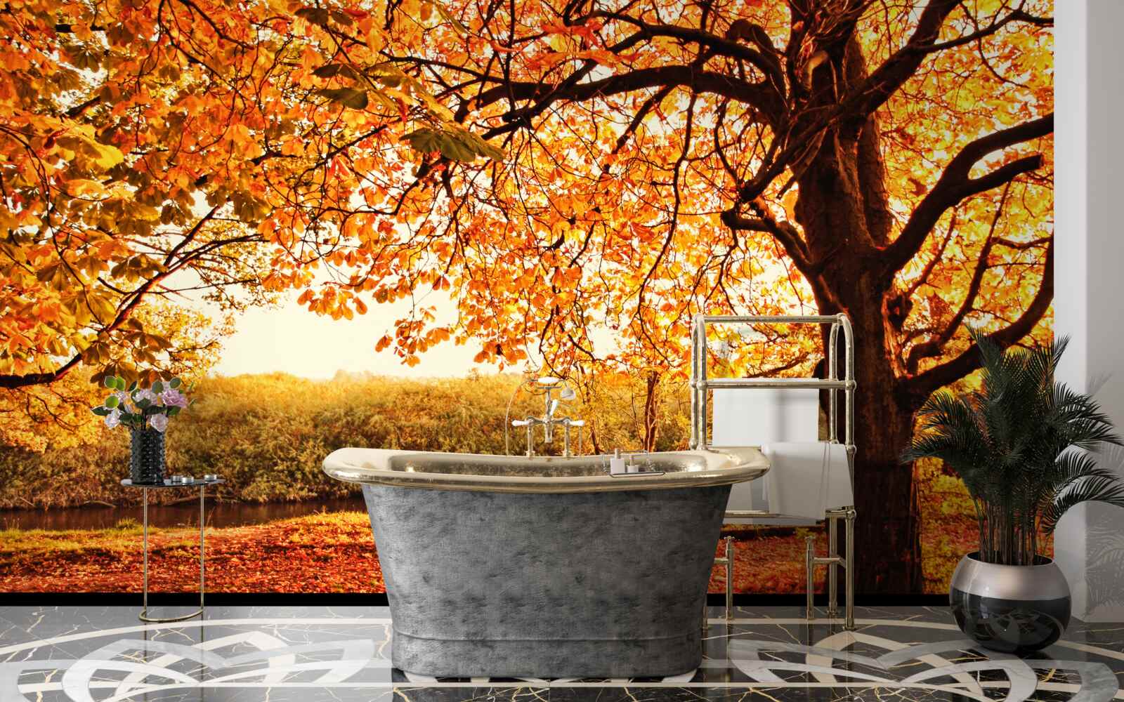 Fototapeta oslnivé čaro lesa v slnečnej jeseni