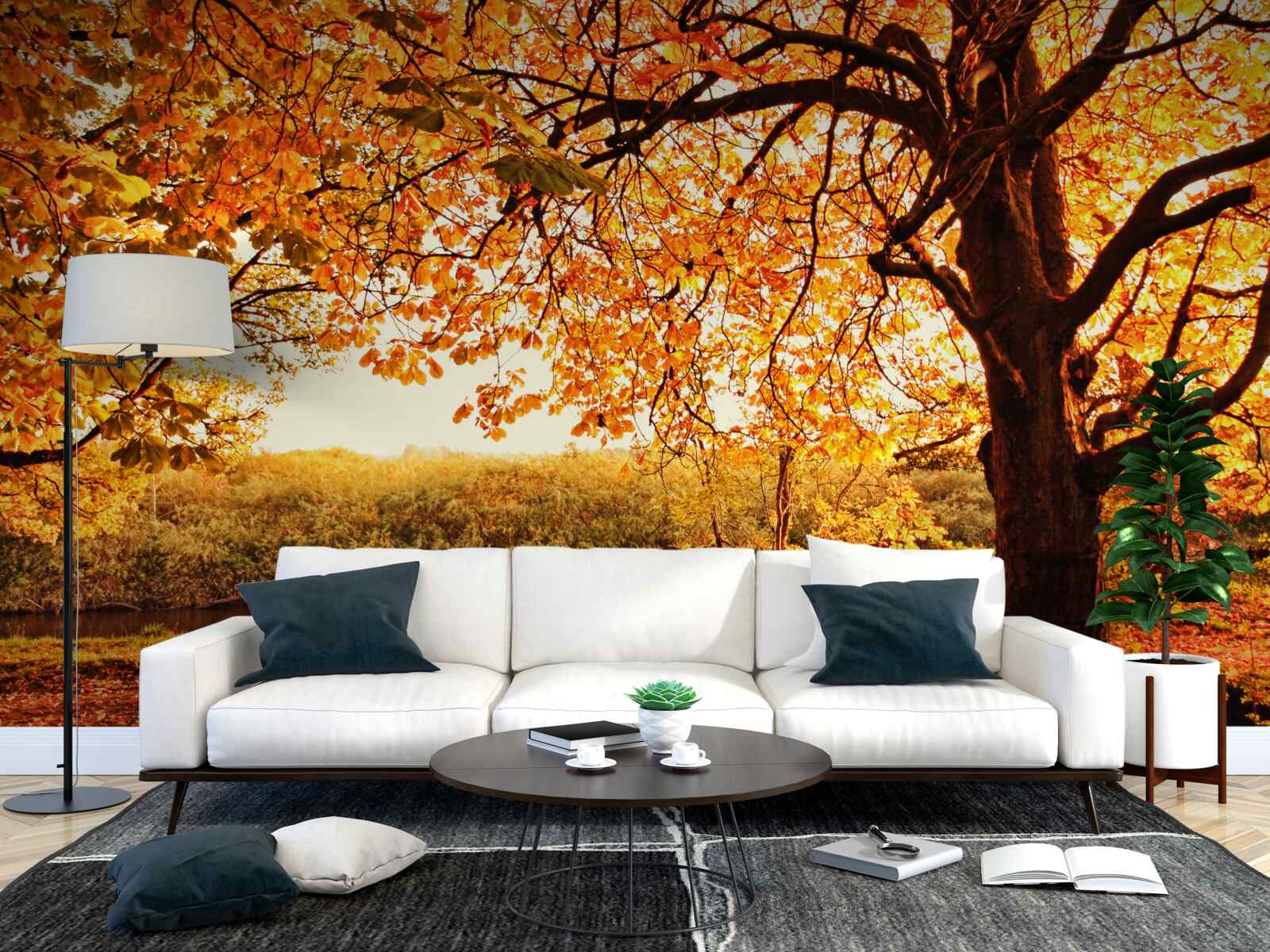 Fototapeta oslnivé čaro lesa v slnečnej jeseni