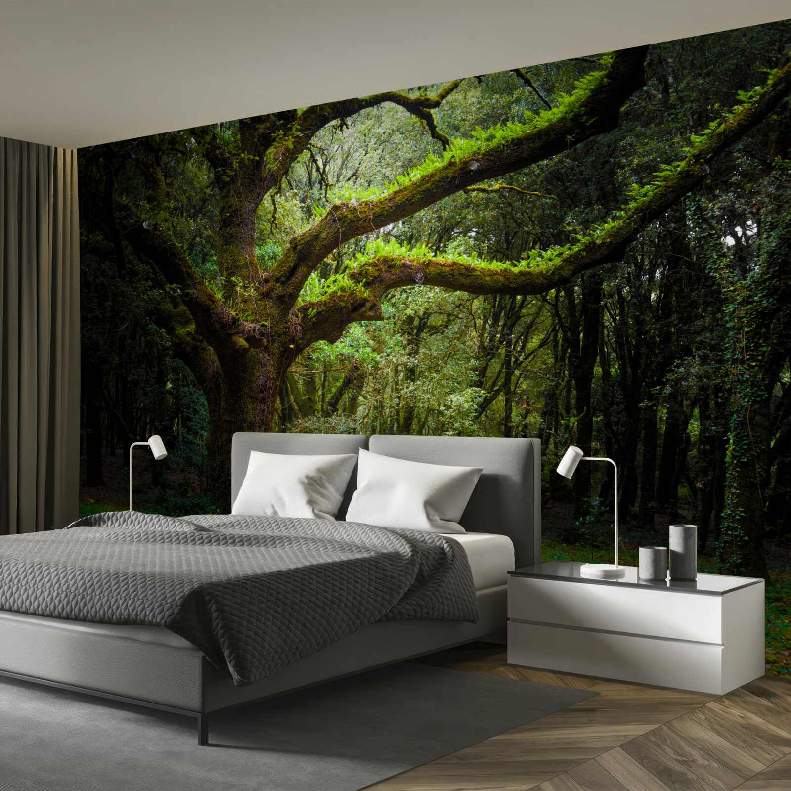 Fototapeta chlpatý prastarý les s hustými stromami