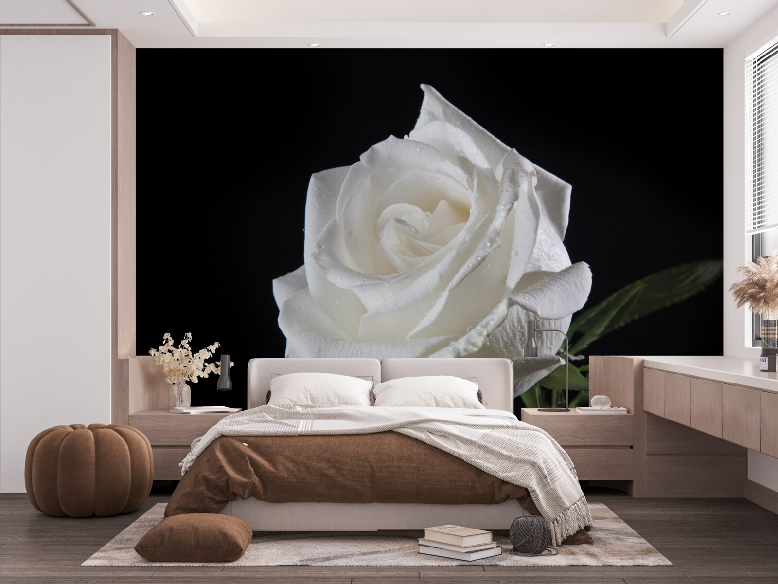 Fototapeta čierne pozadie zdôrazňuje bielu farbu ruže