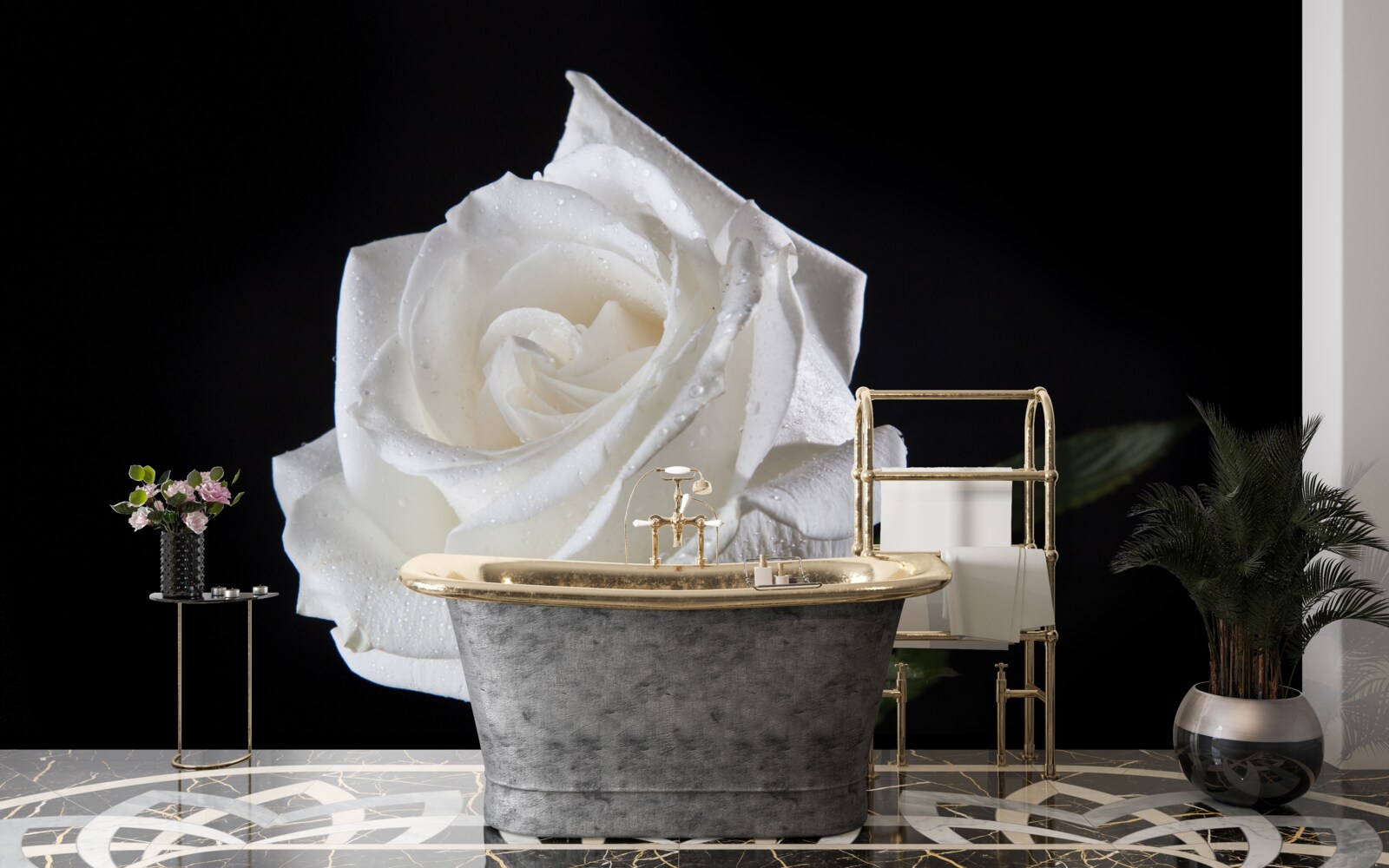 Fototapeta čierne pozadie zdôrazňuje bielu farbu ruže