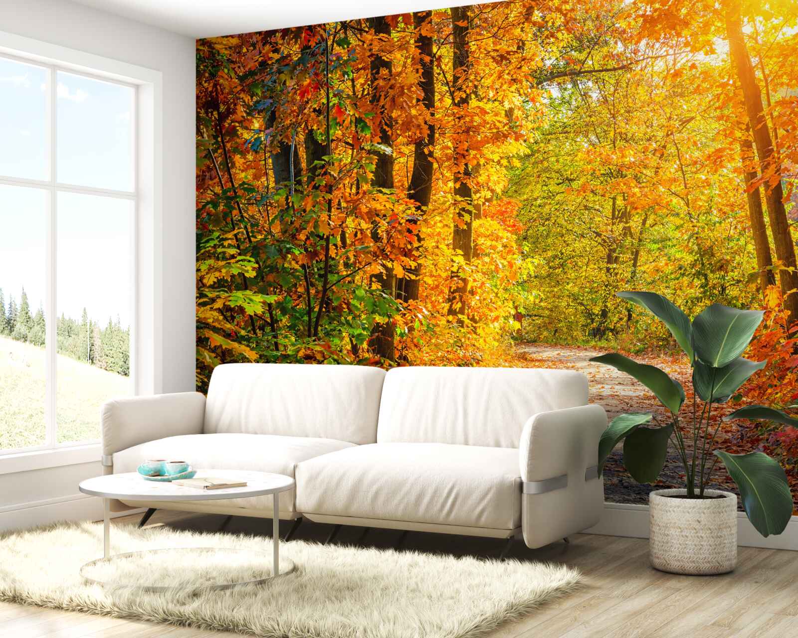 Fototapeta západ slnka poteší jesenným slnkom