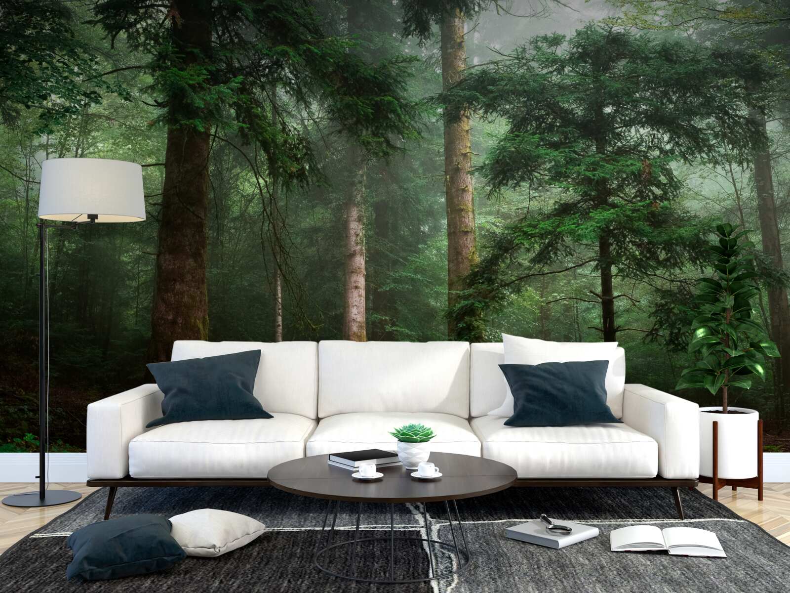 Fototapeta starý ihličnatý les je zahalený v hustej hmle