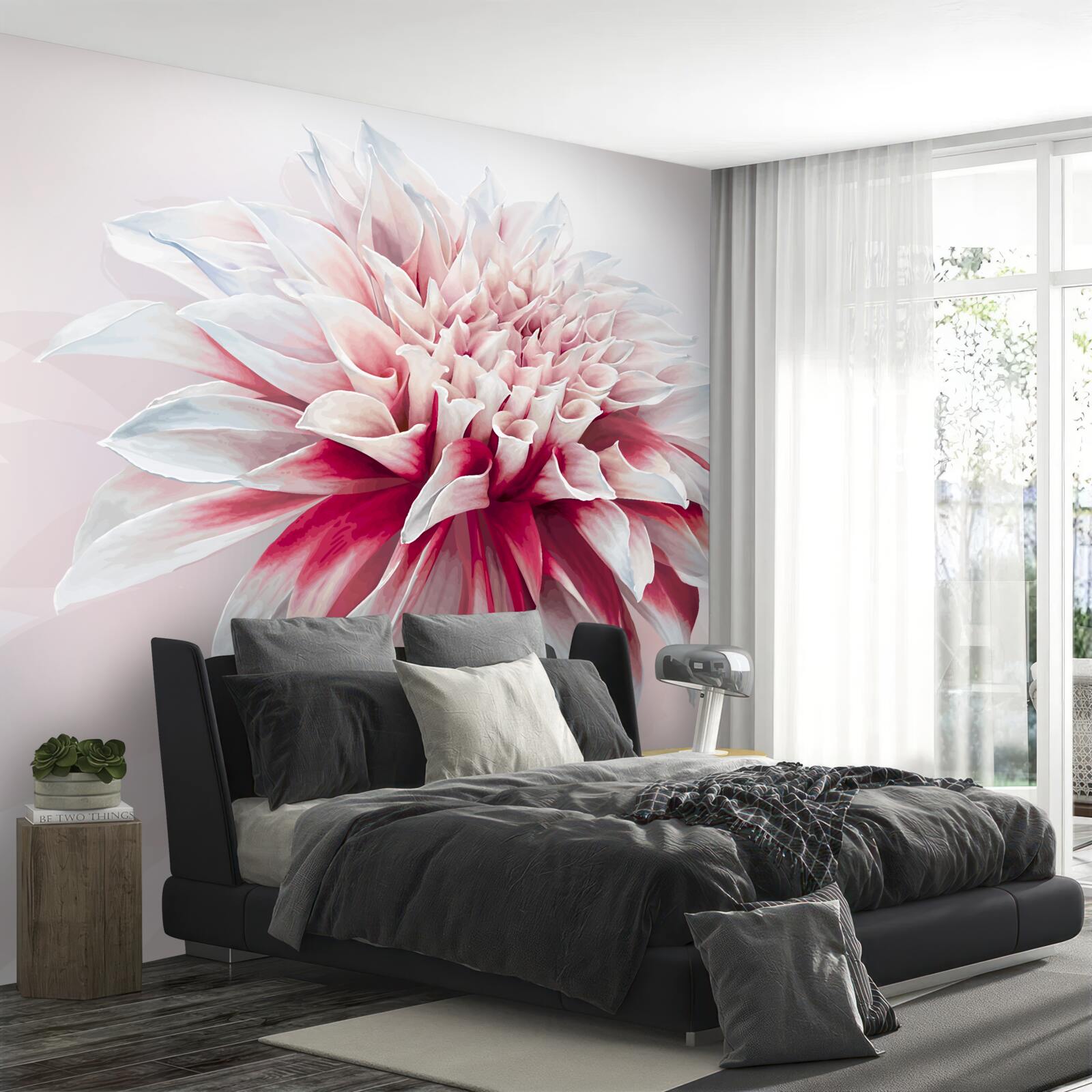 Fototapeta nádherný červený a biely púčik astry