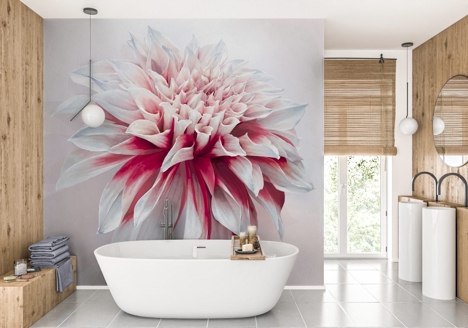 Fototapeta nádherný červený a biely púčik astry