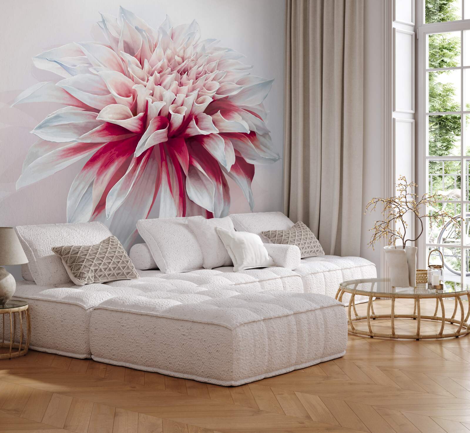 Fototapeta nádherný červený a biely púčik astry