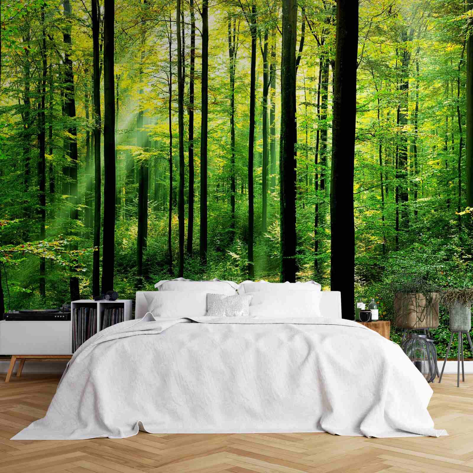 Fototapeta terasa s prístupom do borovicového hája