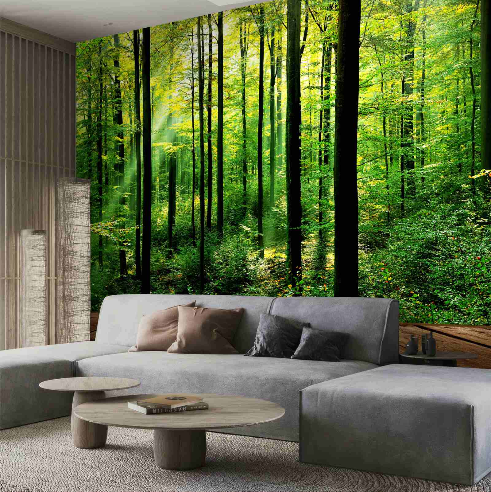 Fototapeta terasa s prístupom do borovicového hája