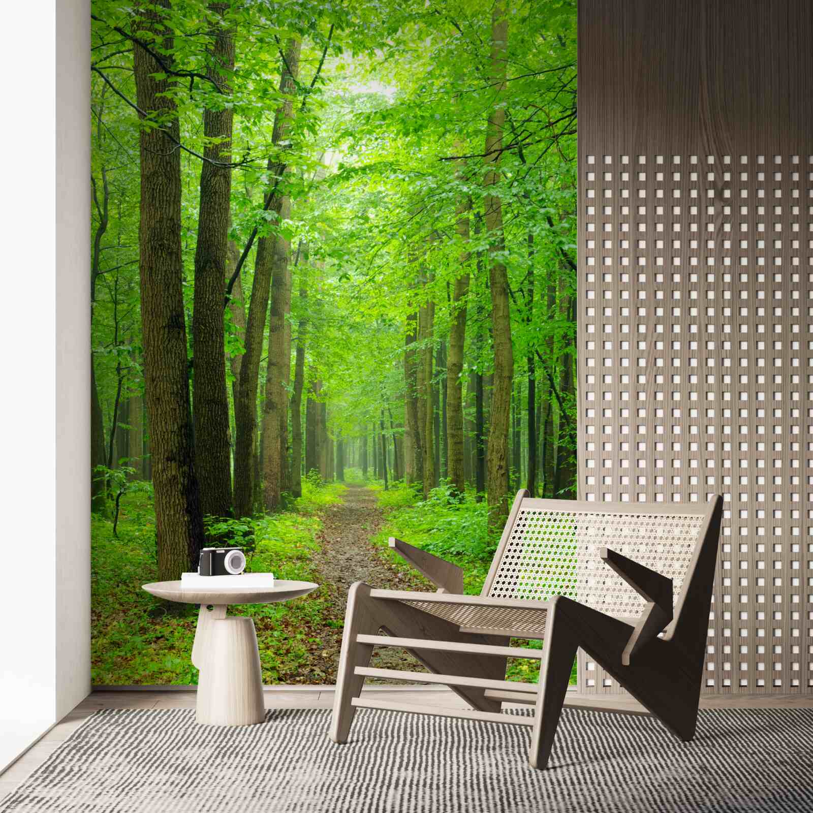 Fototapeta pohodlnou cestou cez ladný listnatý les