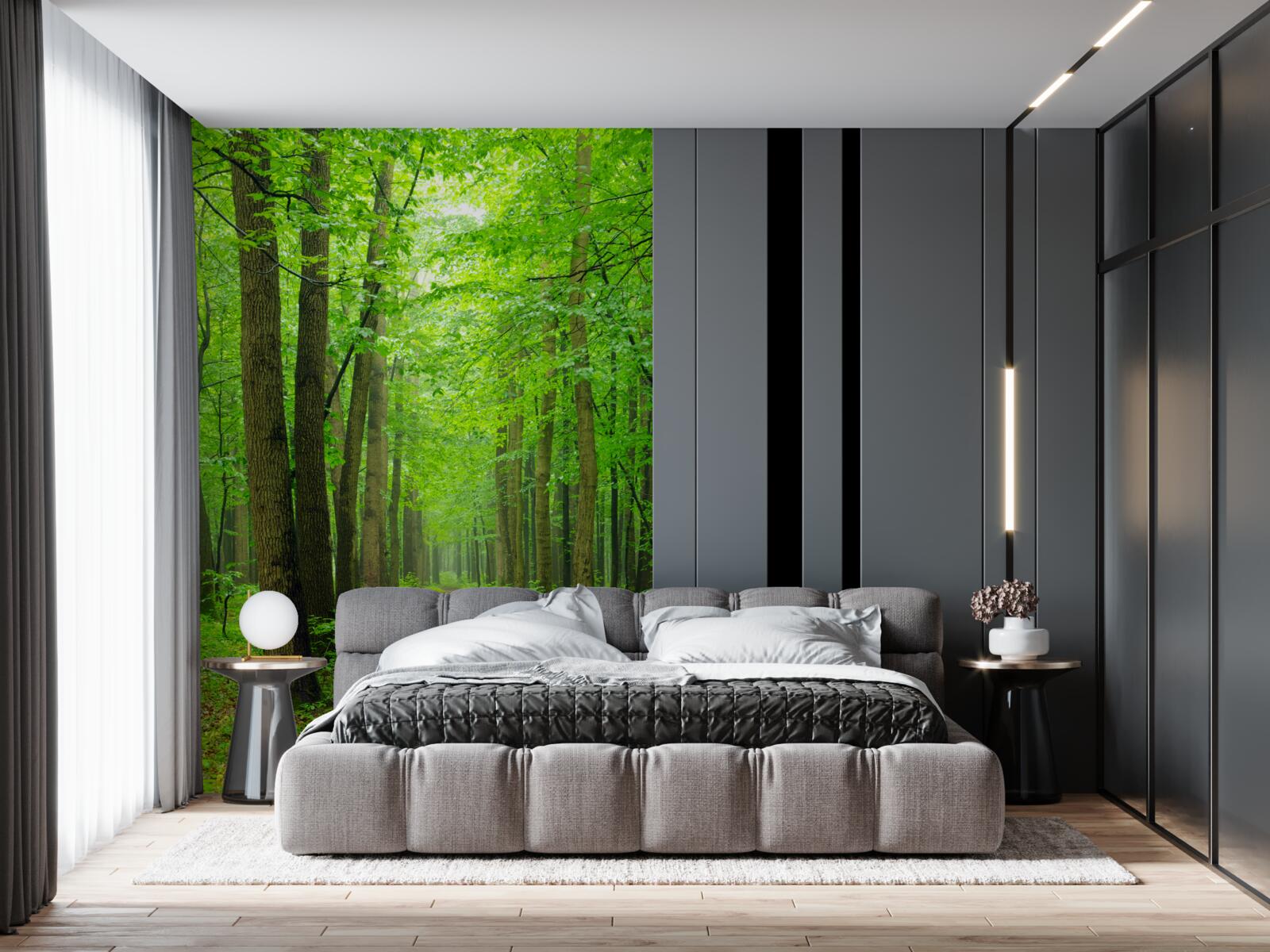 Fototapeta pohodlnou cestou cez ladný listnatý les