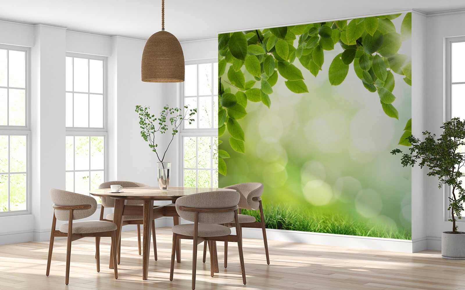 Fototapeta slnko v jeho jase a listy zdobené zelenými kvapkami