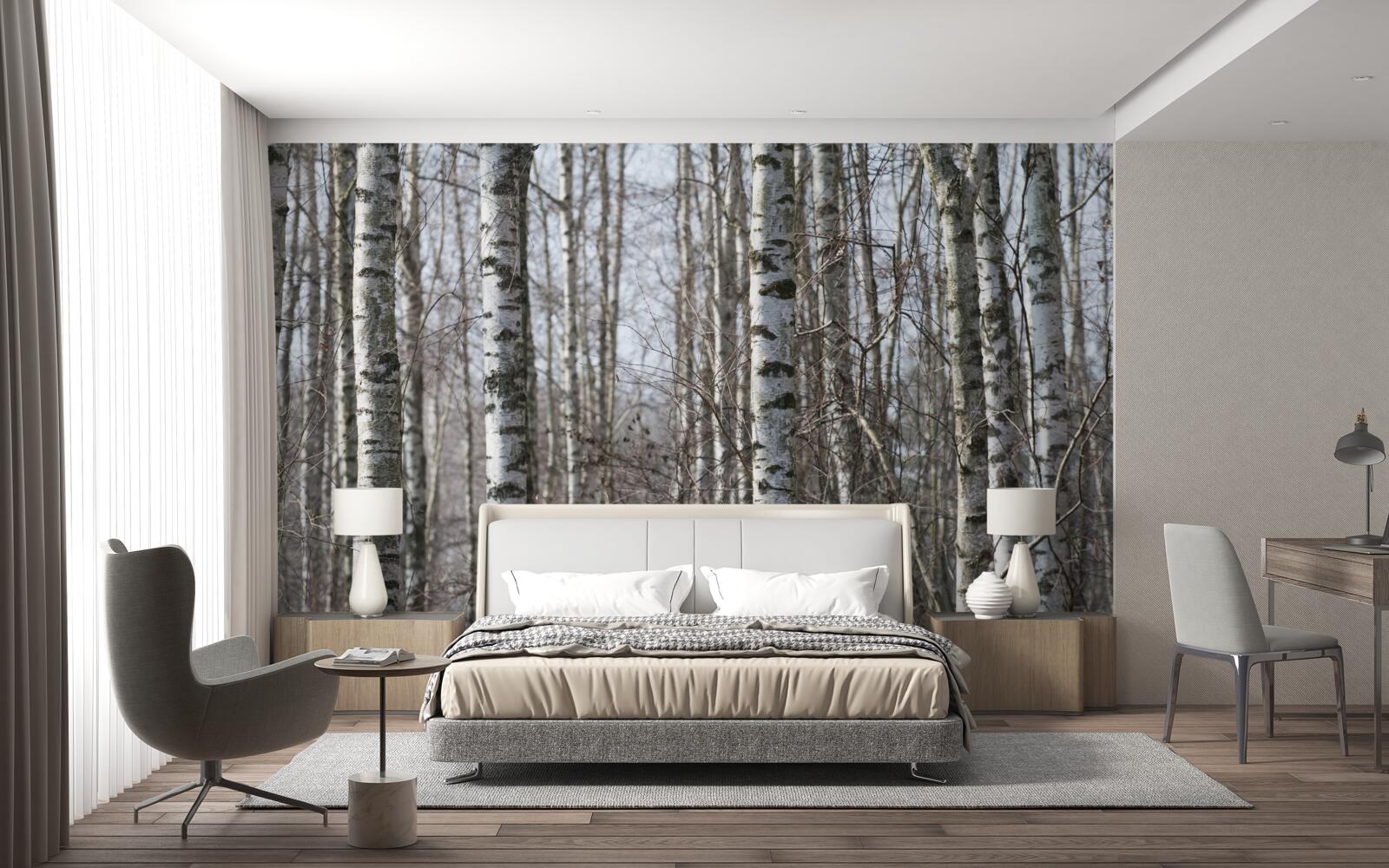 Fototapeta padnuté pôvabné brezy