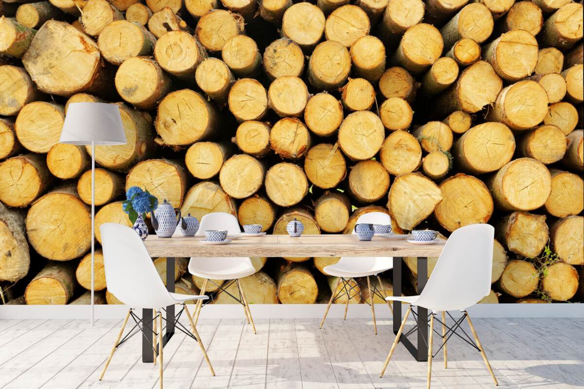 Fototapeta hromada narezaného palivového dreva