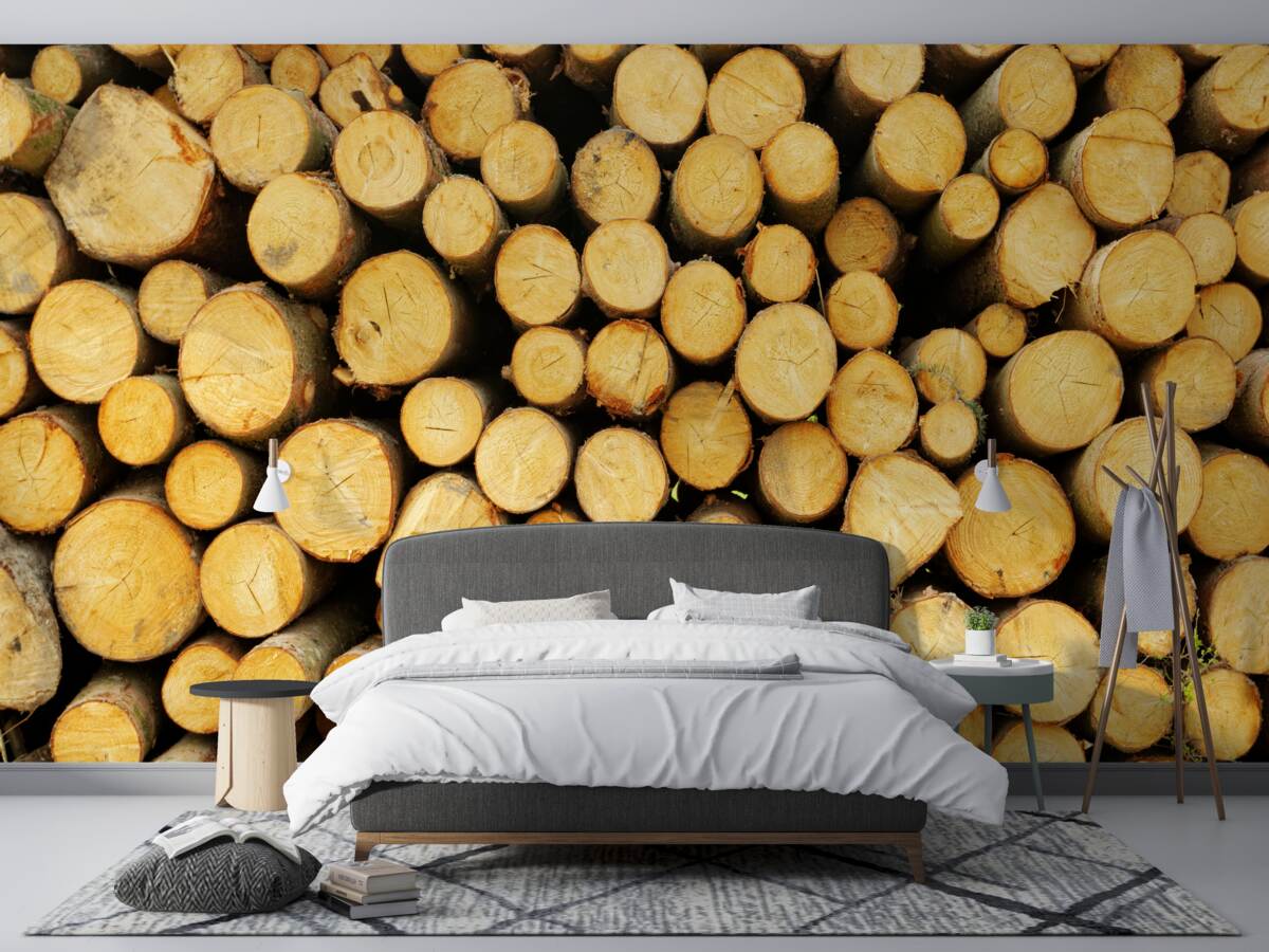 Fototapeta hromada narezaného palivového dreva