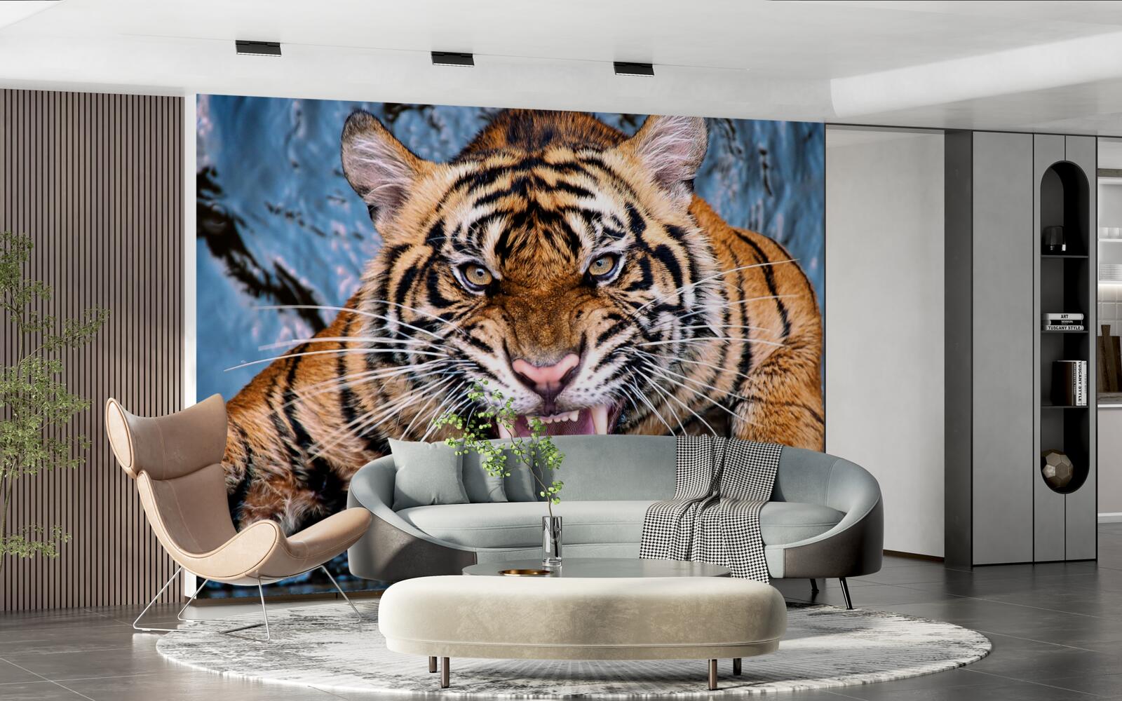 Fototapeta reve tiger od zlosti