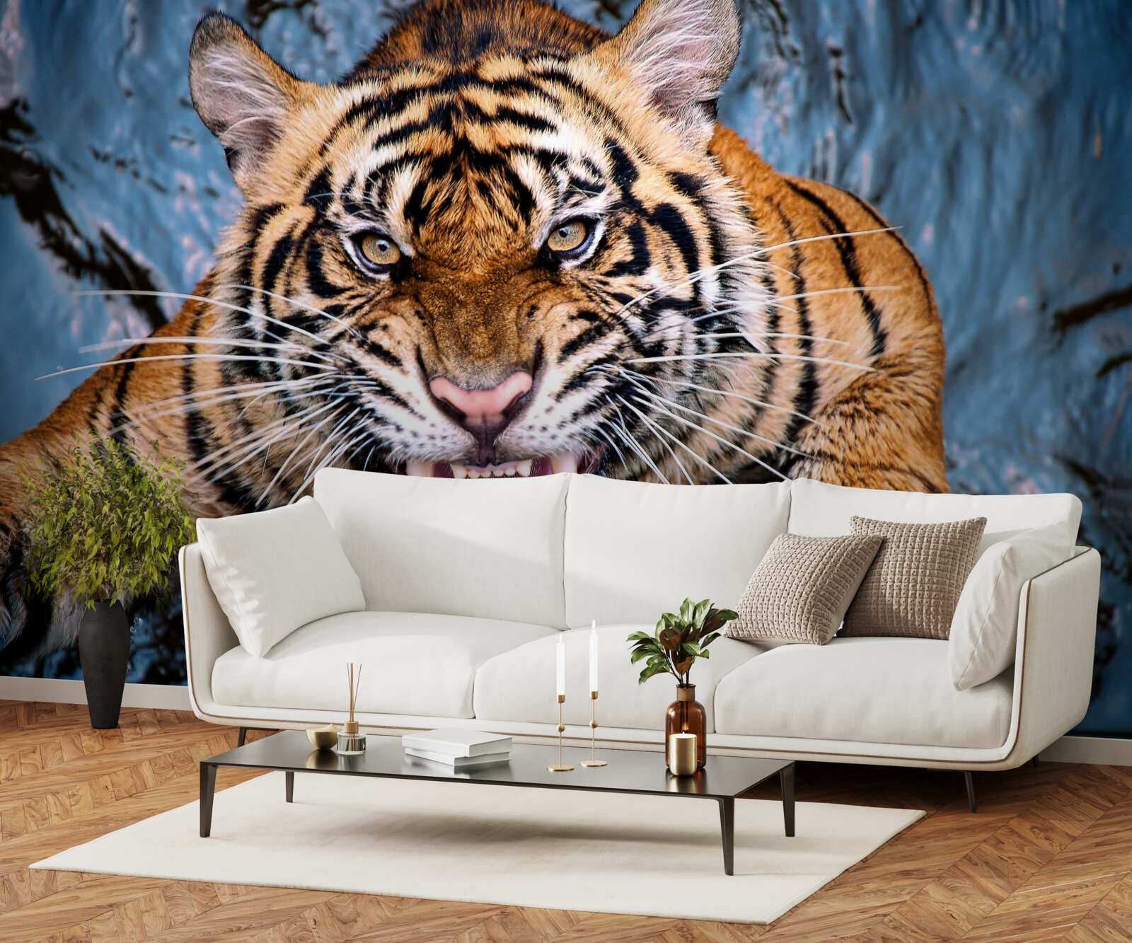 Fototapeta reve tiger od zlosti