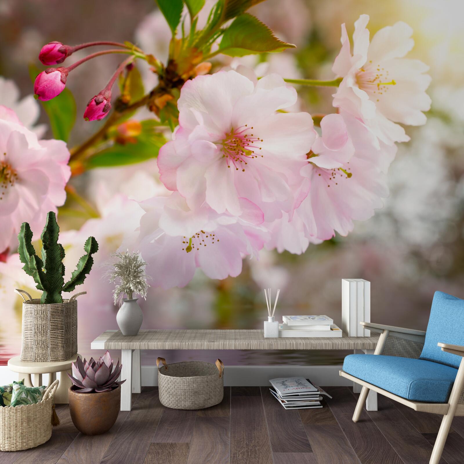 Fototapeta Nad vodou visia konáre čerešní s ružovými kvetmi