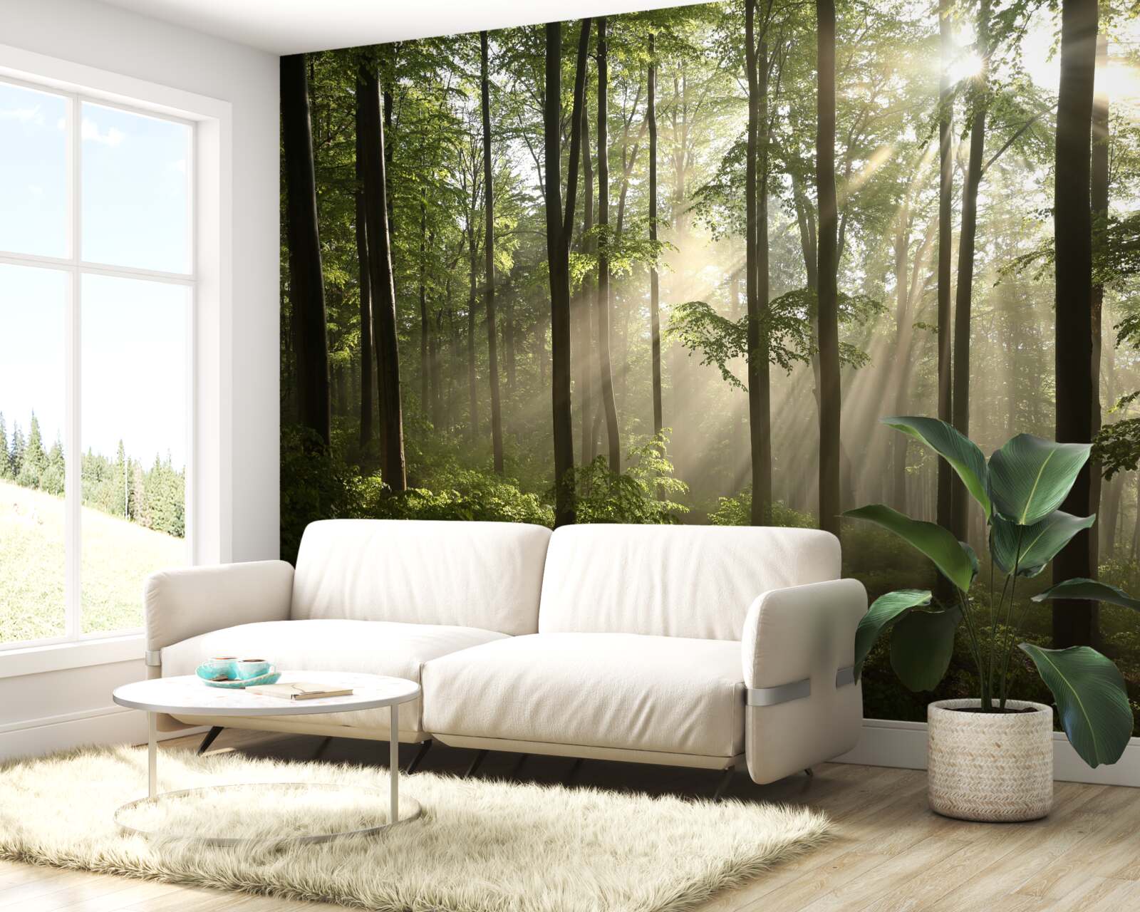 Fototapeta slnečné lúče prenikajú cez hmlu v lese