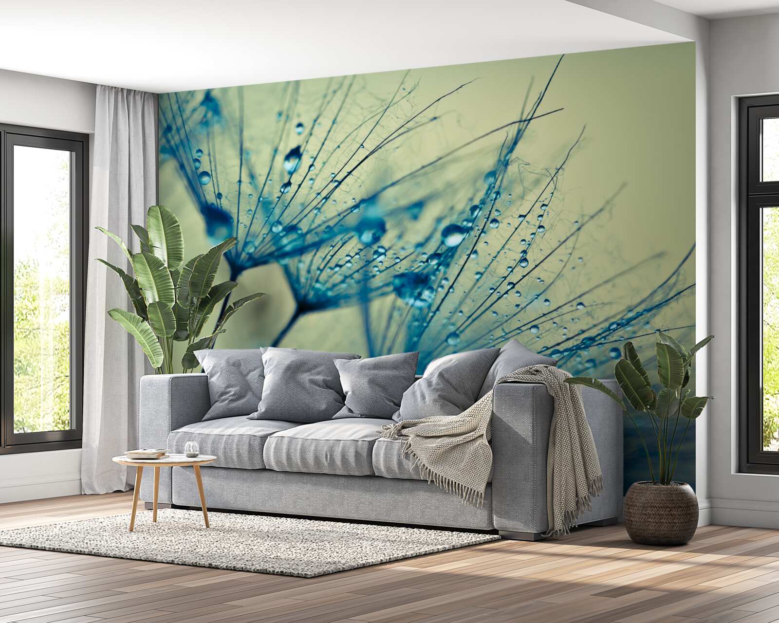 Fototapeta púpava zdobená kvapkami vody