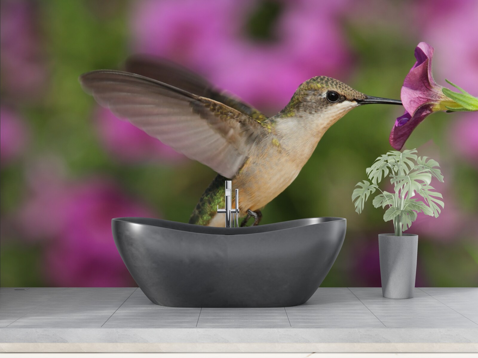 Fototapeta nektár uhasí smäd kolibríkov