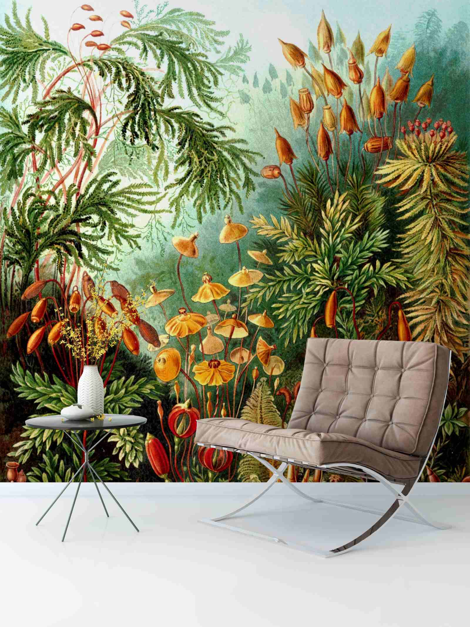 Fototapeta úžasné odtiene tropického lesa