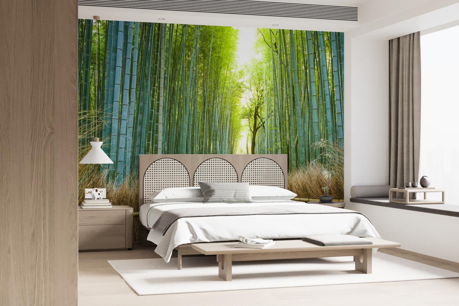 Fototapeta Cestička cez hustú bambusovú húštinu