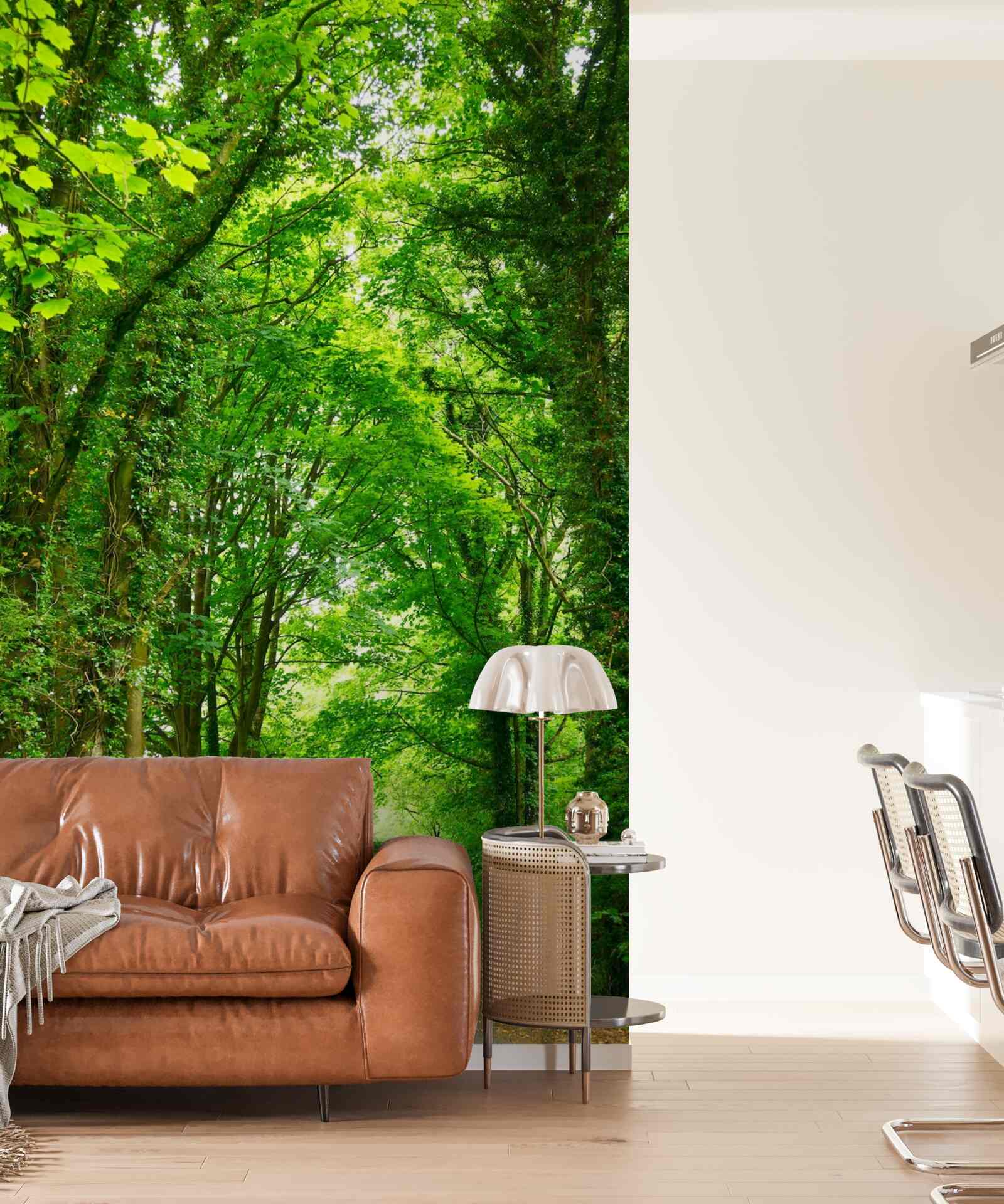 Fototapeta Nad cestou sa týčia oblúky zelených stromov