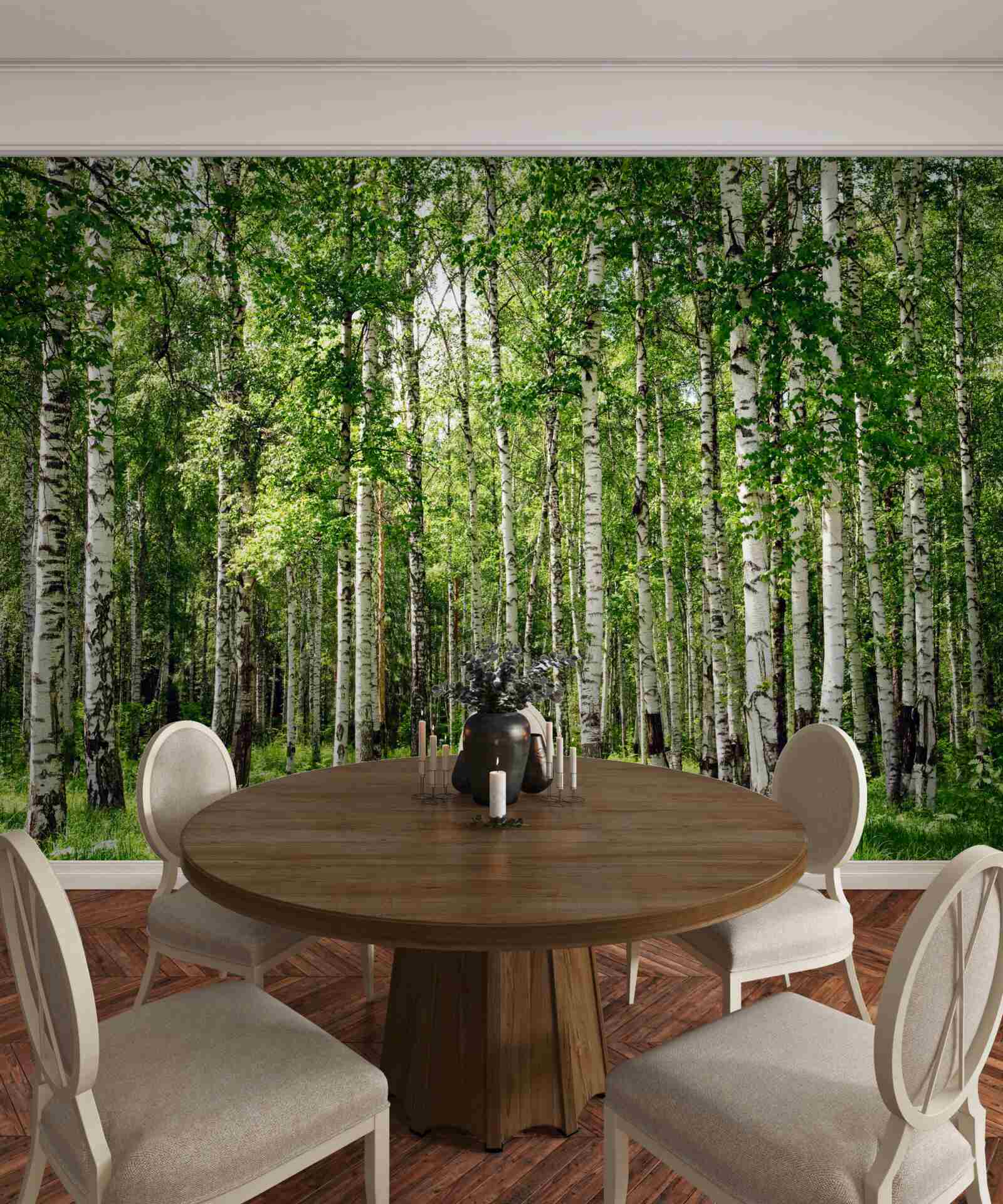 Fototapeta štíhly brezový háj