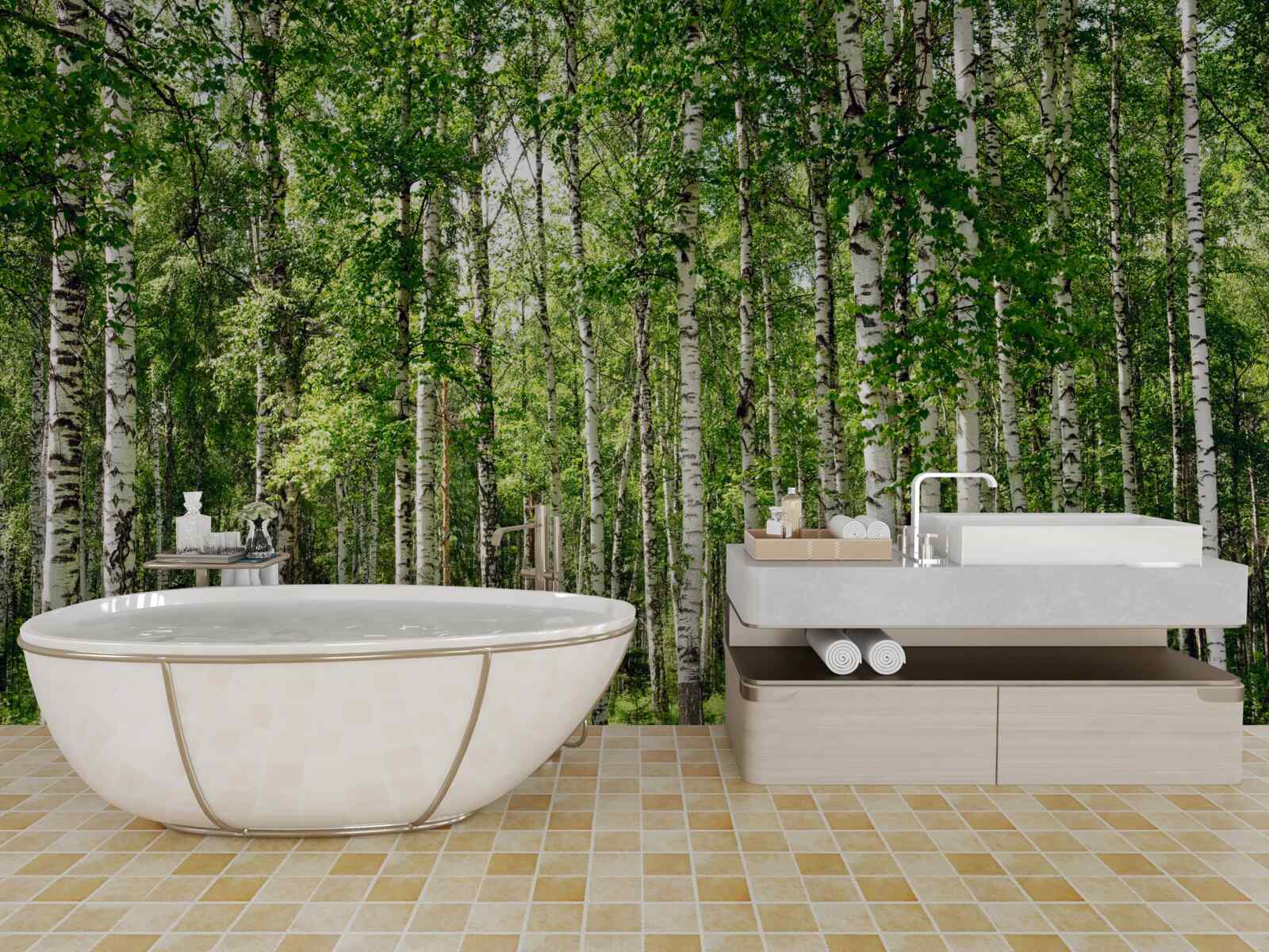 Fototapeta štíhly brezový háj