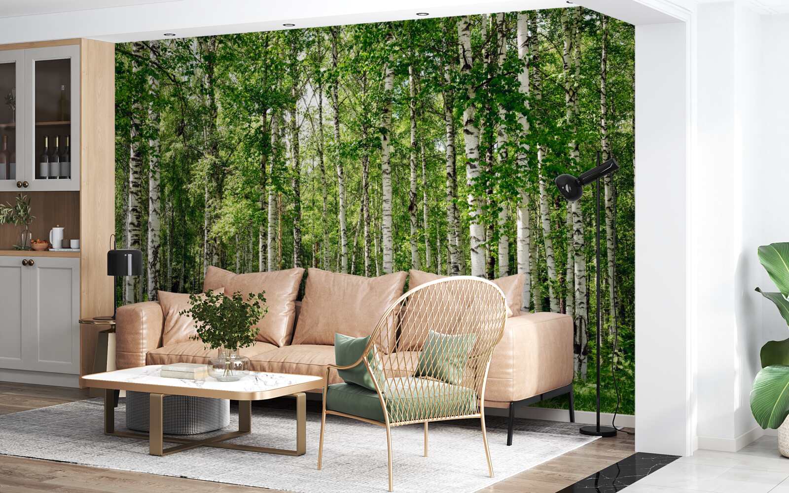 Fototapeta štíhly brezový háj