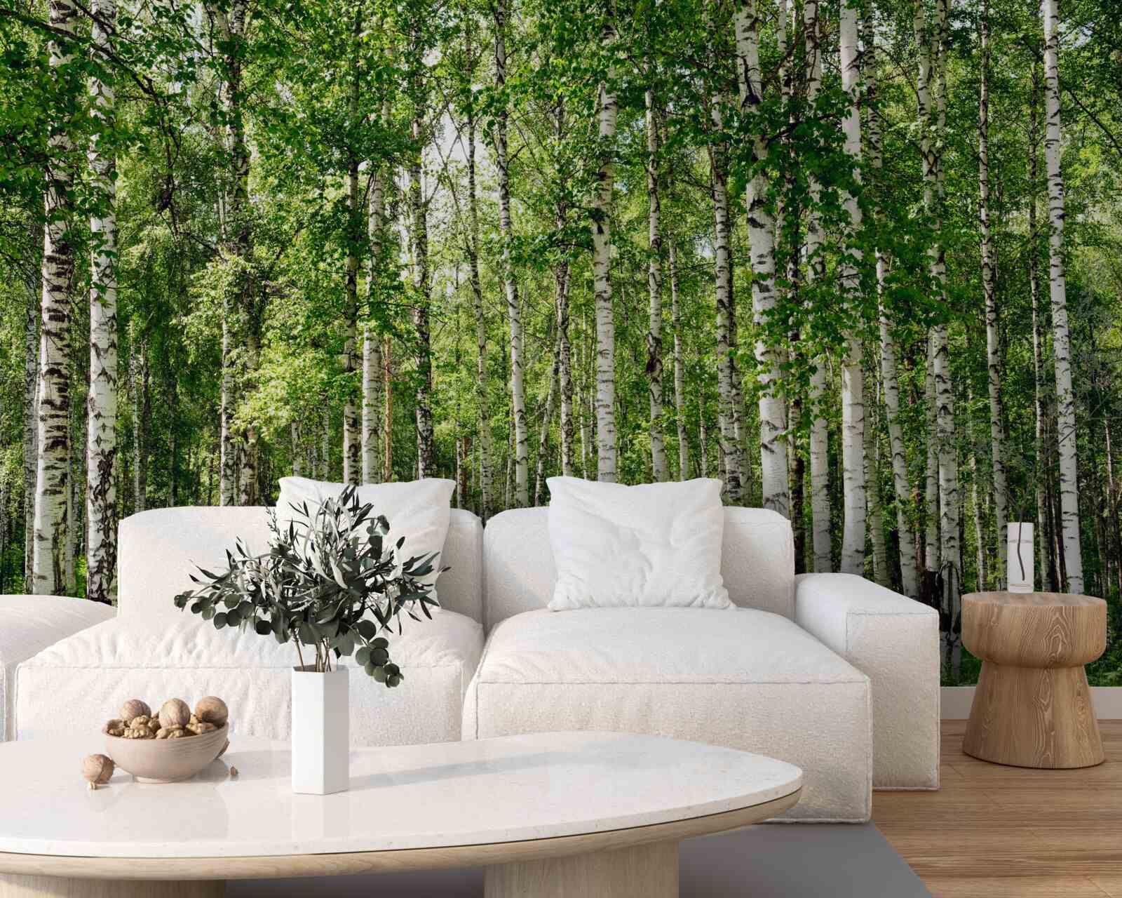 Fototapeta štíhly brezový háj