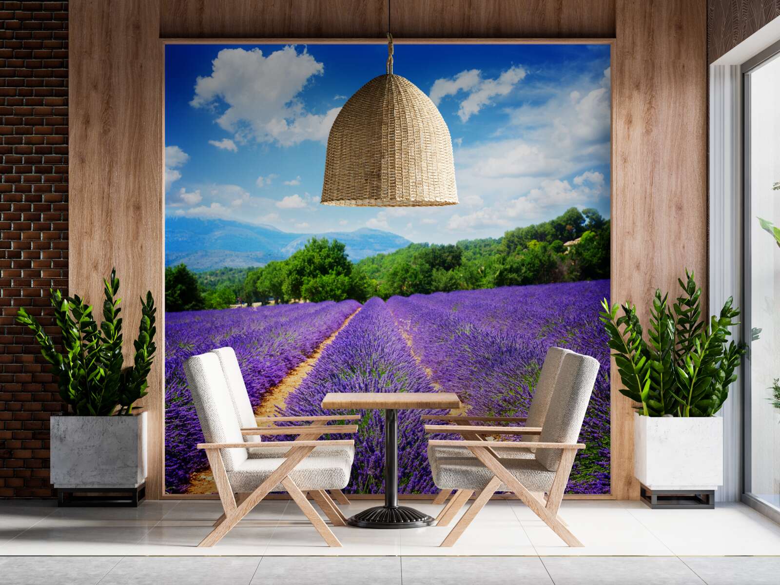 Fototapeta nekonečné úseky mäkkej levandule