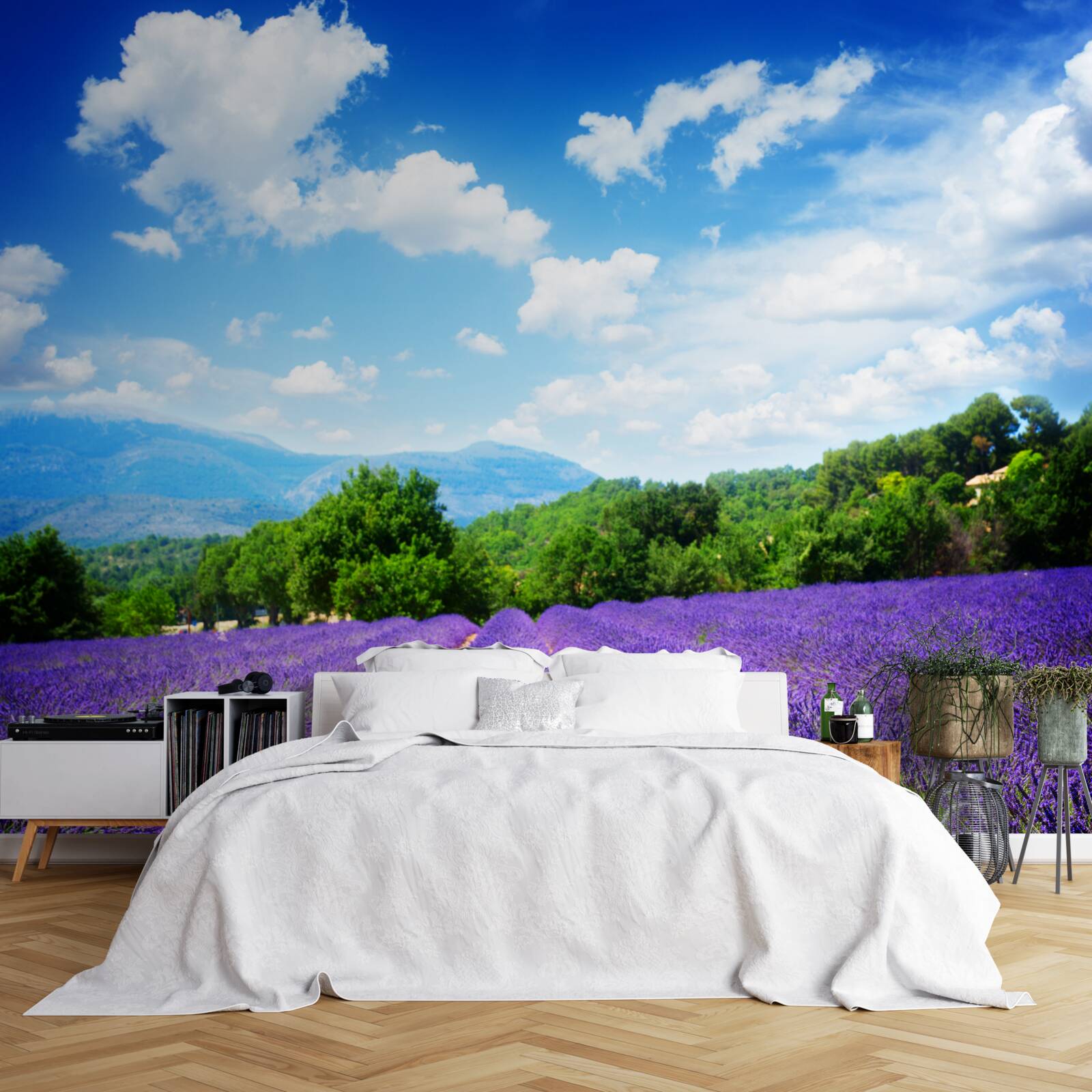 Fototapeta nekonečné úseky mäkkej levandule