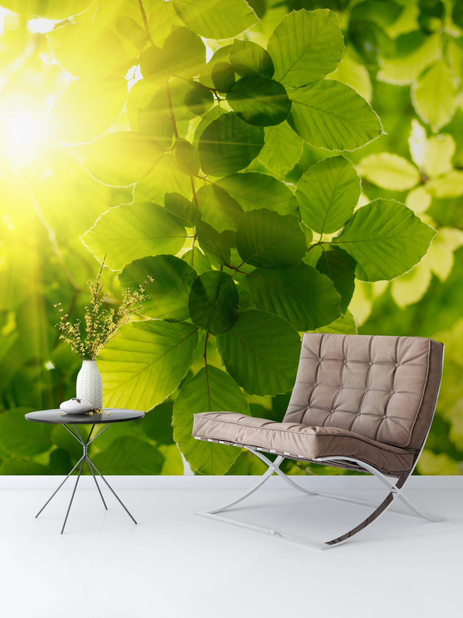 Fototapeta ranné slnečné svetlo víta zelené listy