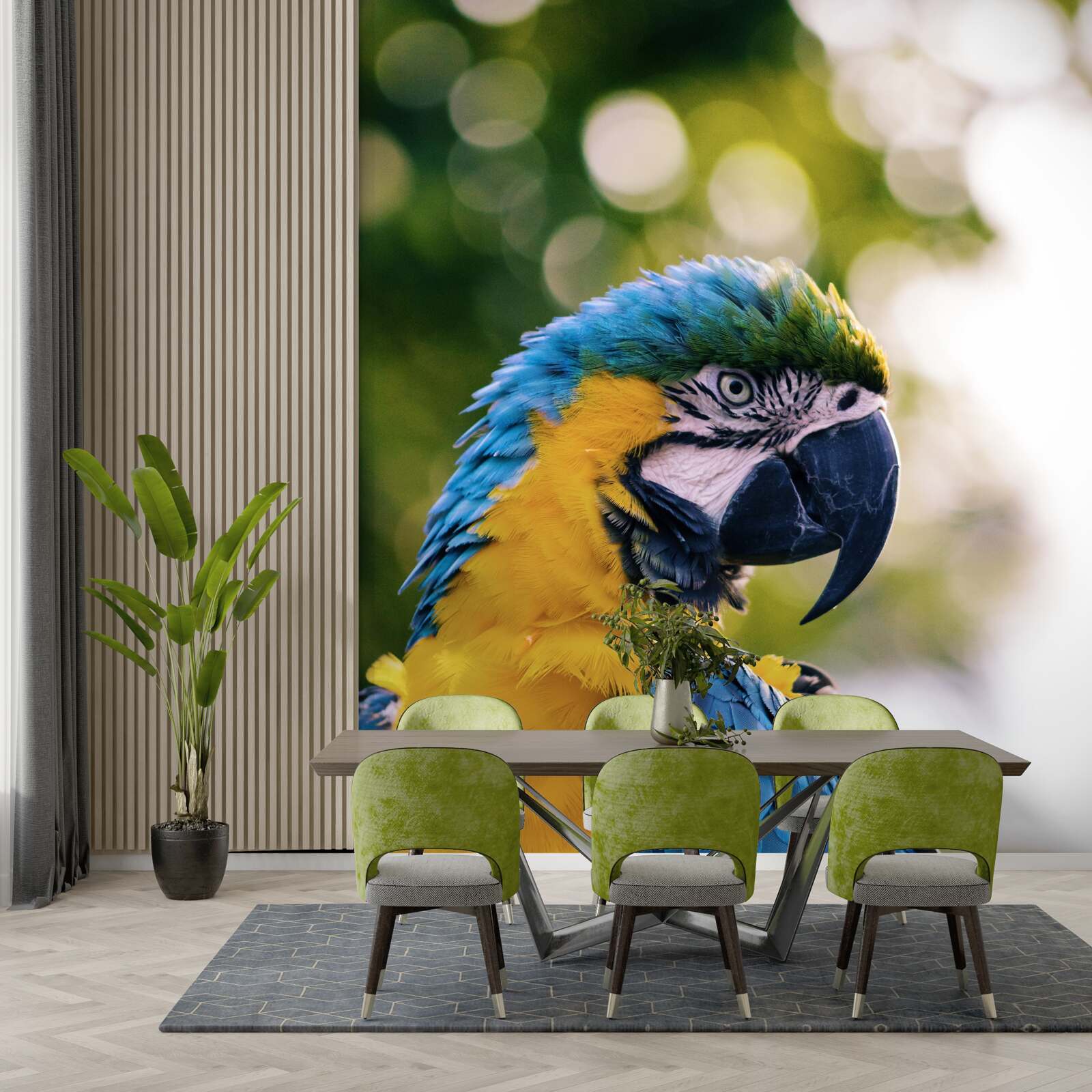 Fototapeta obraz atraktívneho papagája