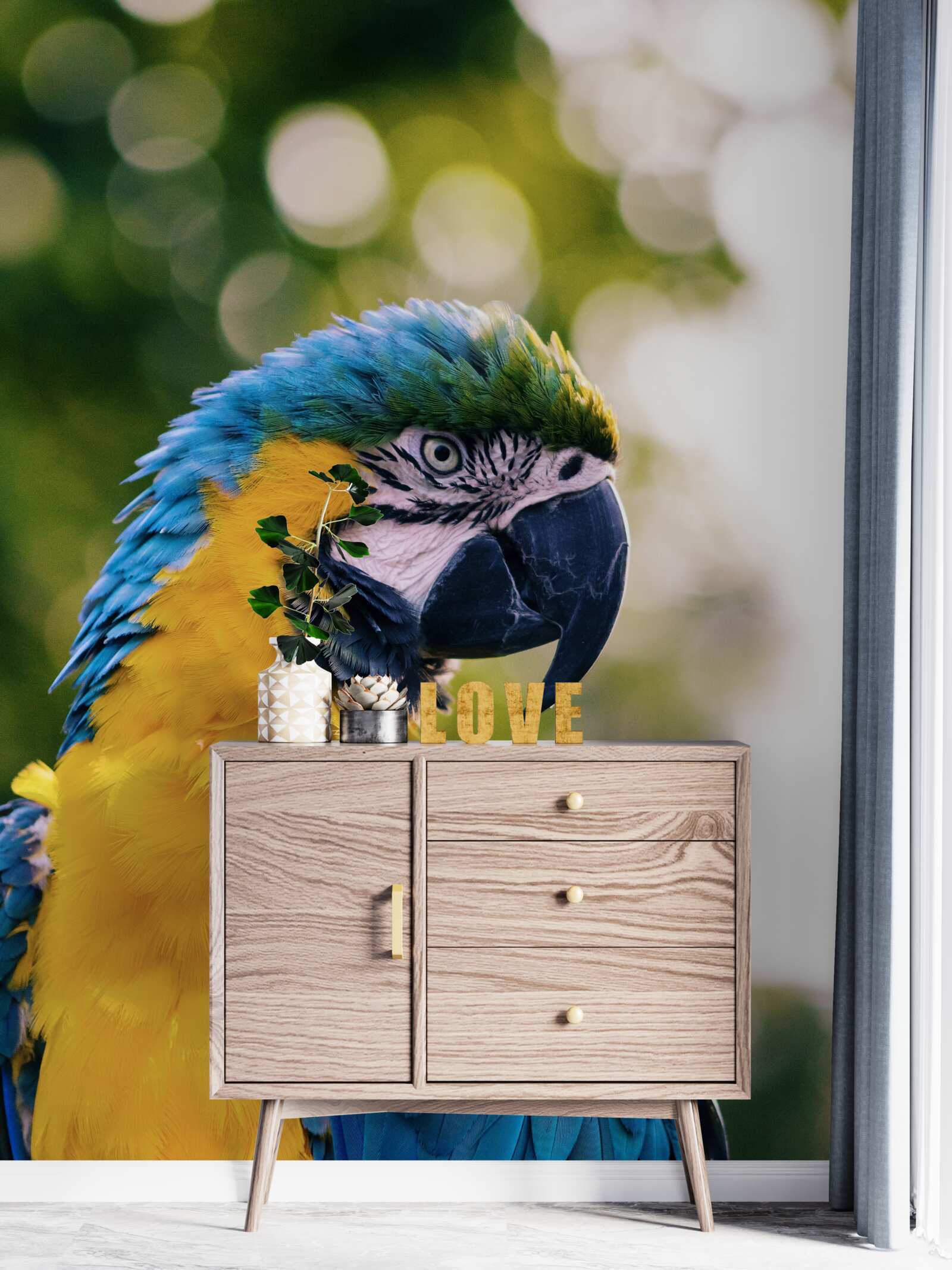 Fototapeta obraz atraktívneho papagája