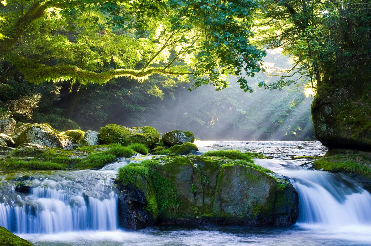 Fototapeta slnečné lúče dopadajú k lesnému vodopádu