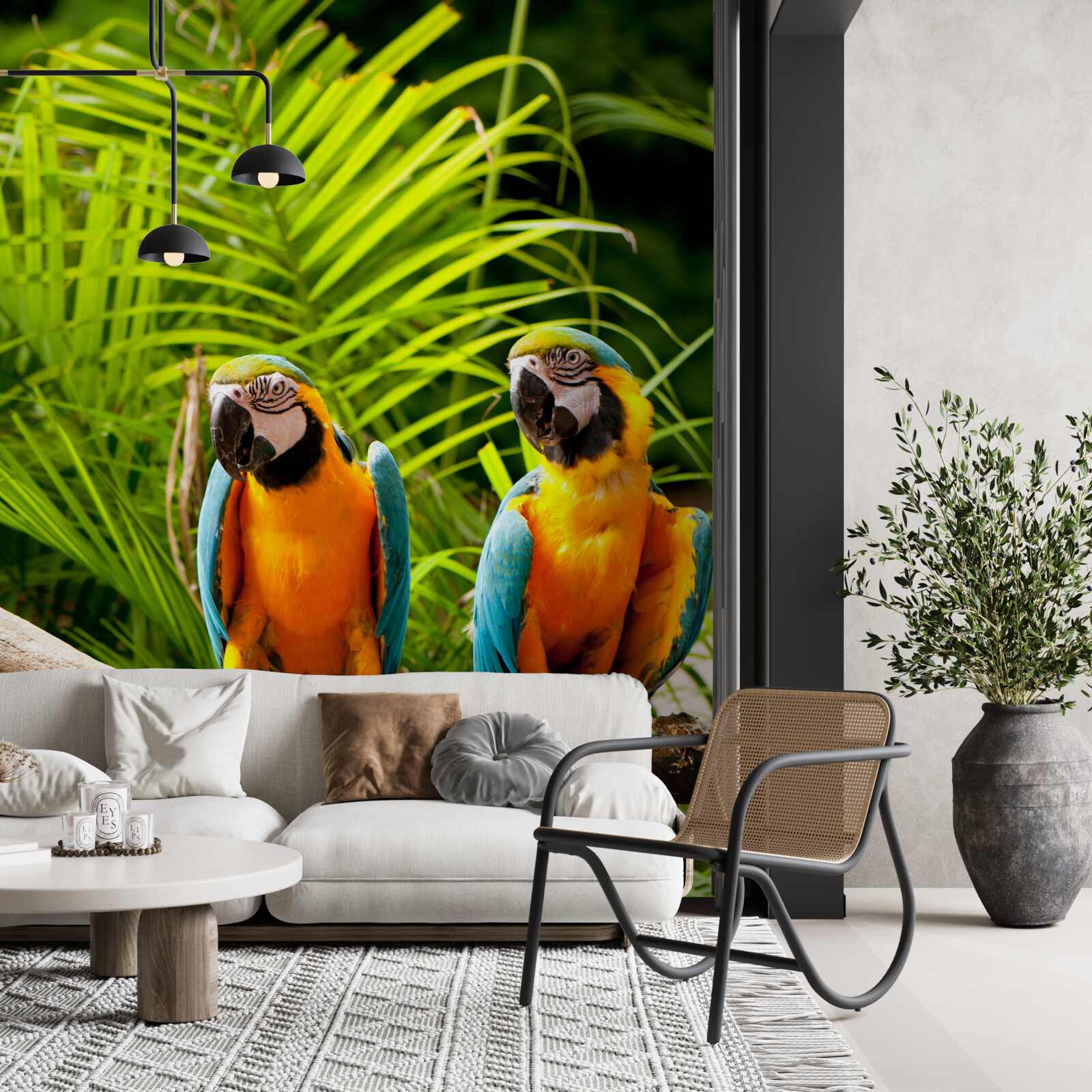 Fototapeta dva ary sedia na palmových vetvách